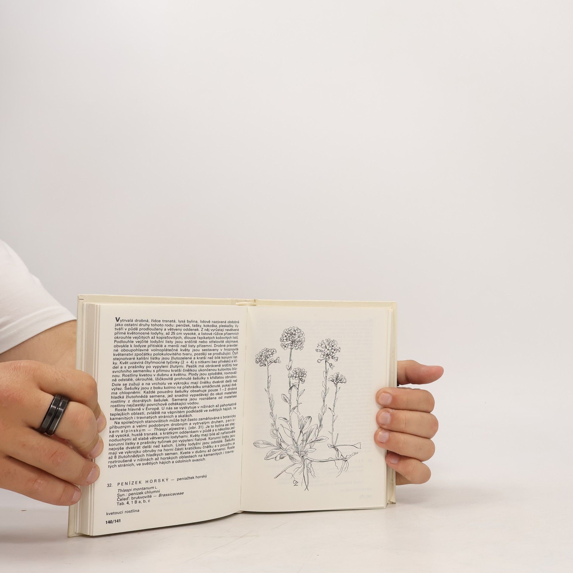 František Hron Rostliny strání, skal, křovin a lesů. Kapesní atlas