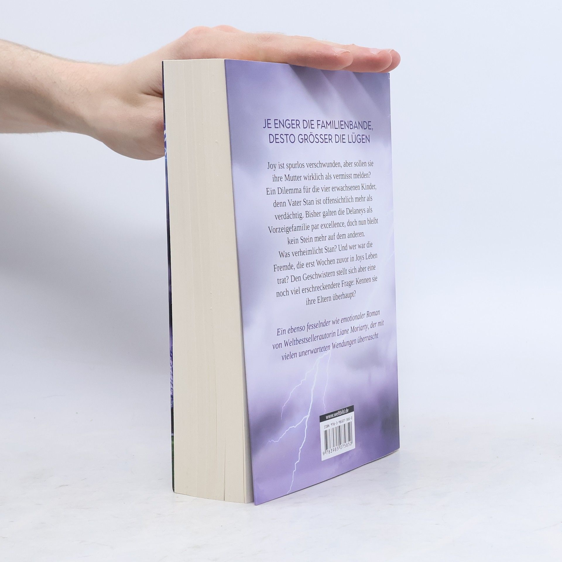Liane Moriarty Eine perfekte Familie