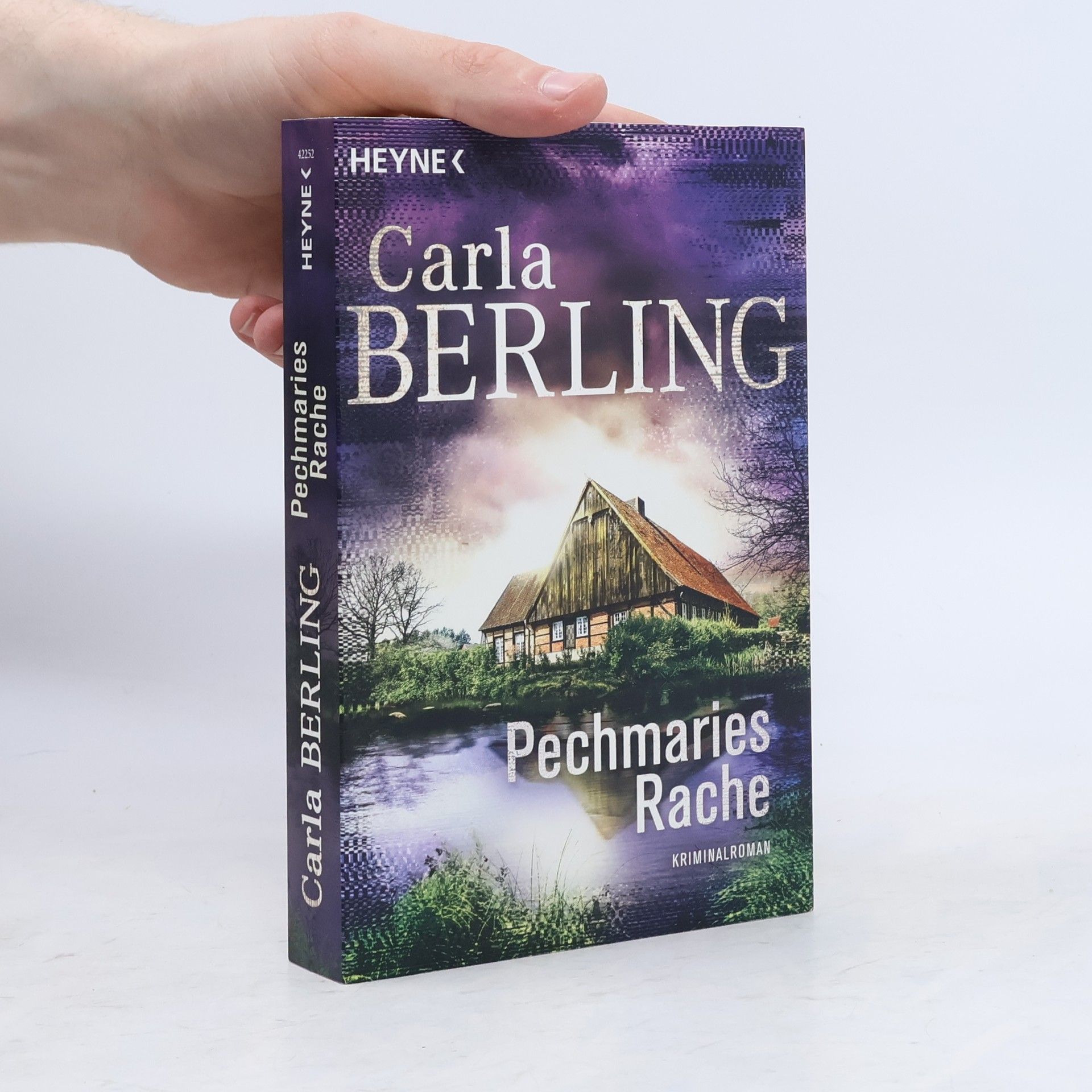 Carla Berling Pechmaries Rache (Wittekind 5)