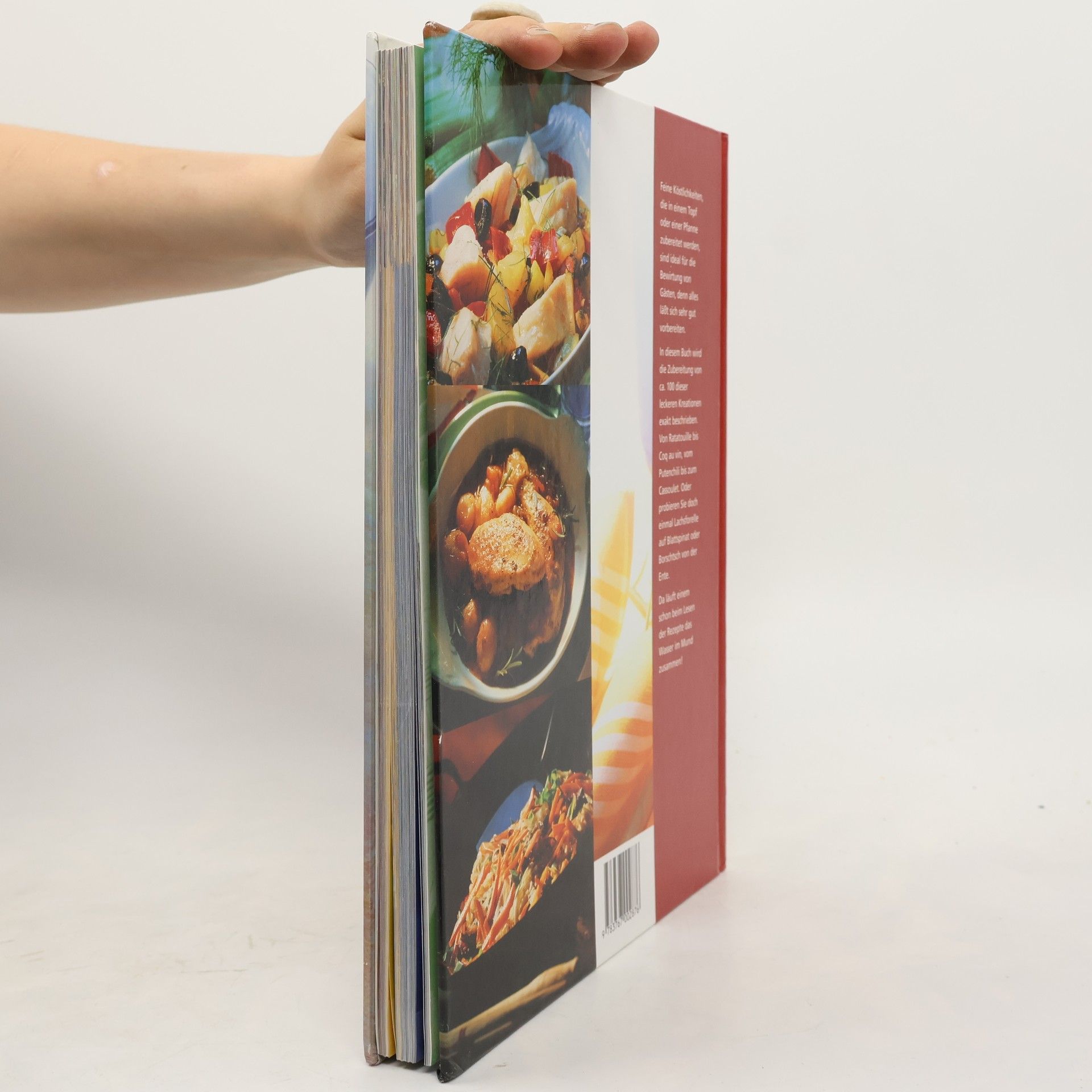 August Oetker Doktor Oetker Feines aus einem Topf