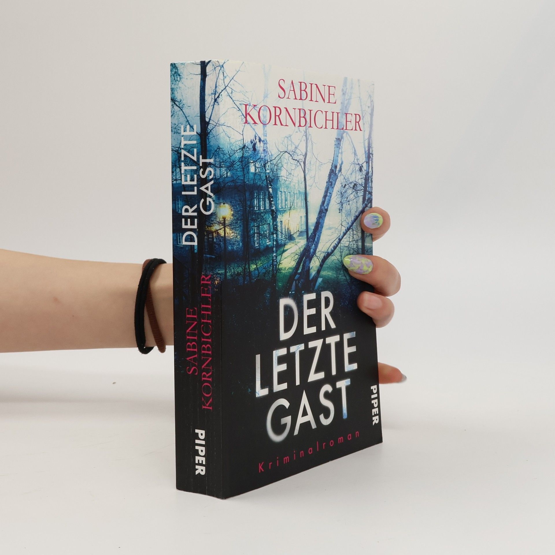 Sabine Kornbichler Der letzte Gast
