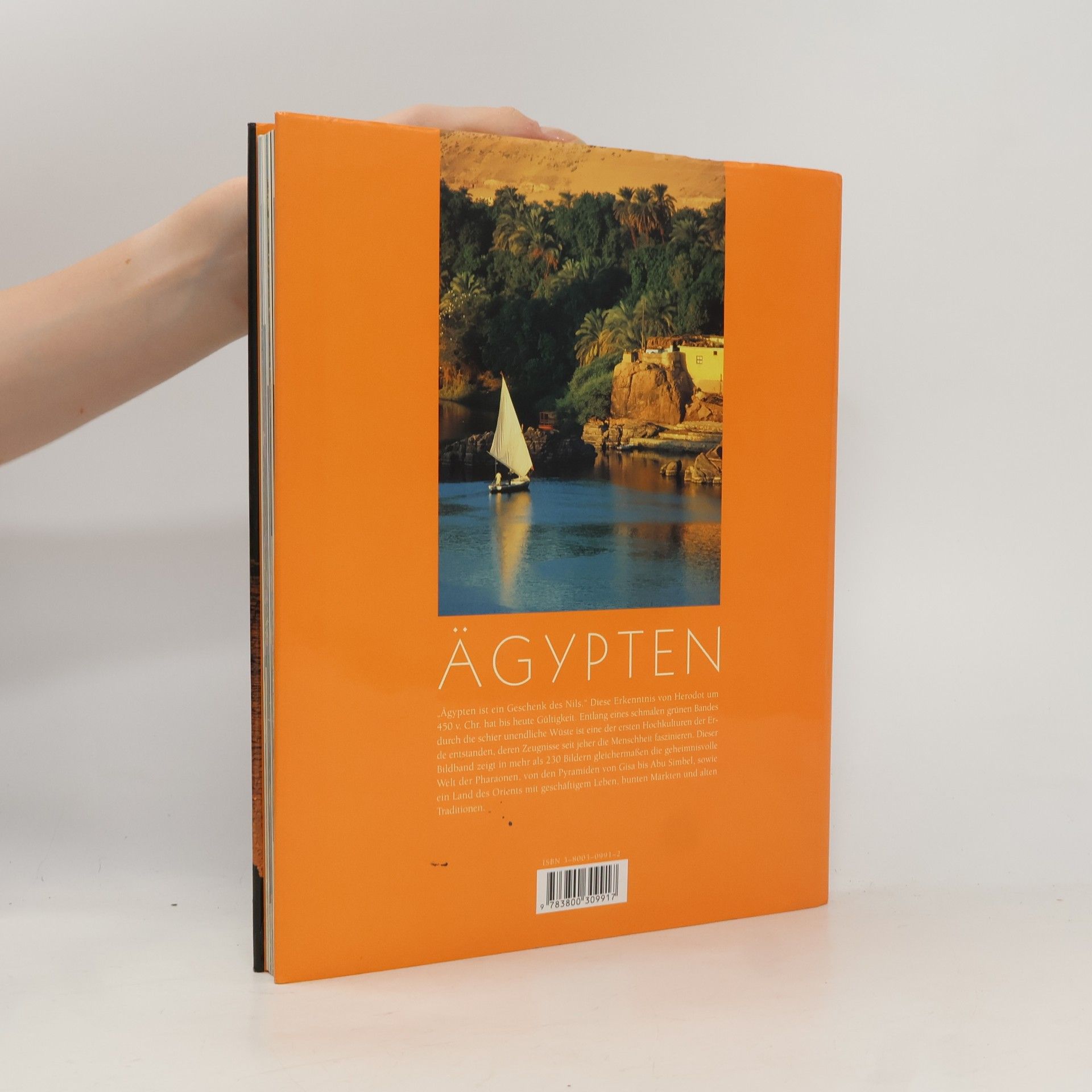 Axel Krause Ägypten