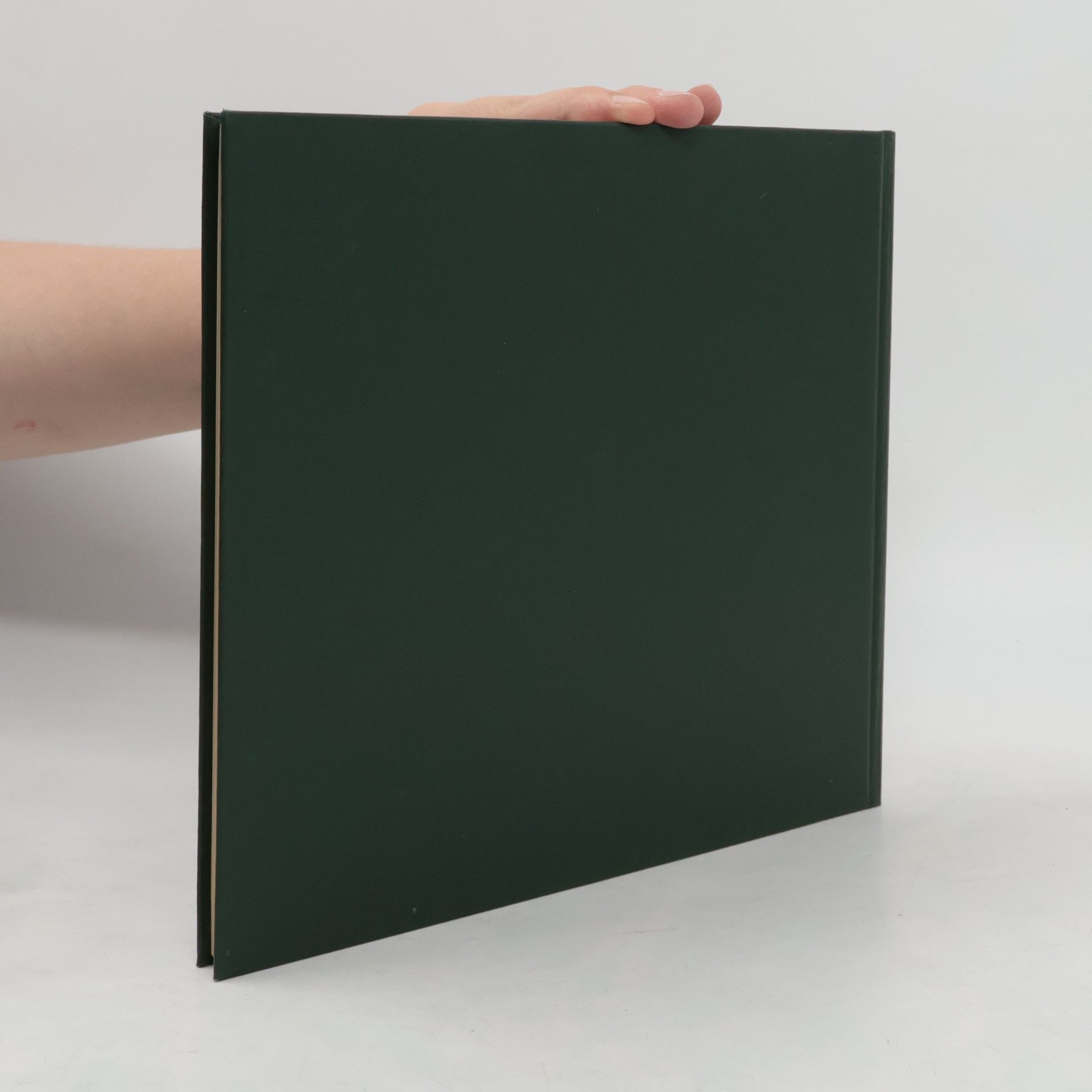 Kristin Bühler-Oppenheim Zeichen, Marken, Zinken