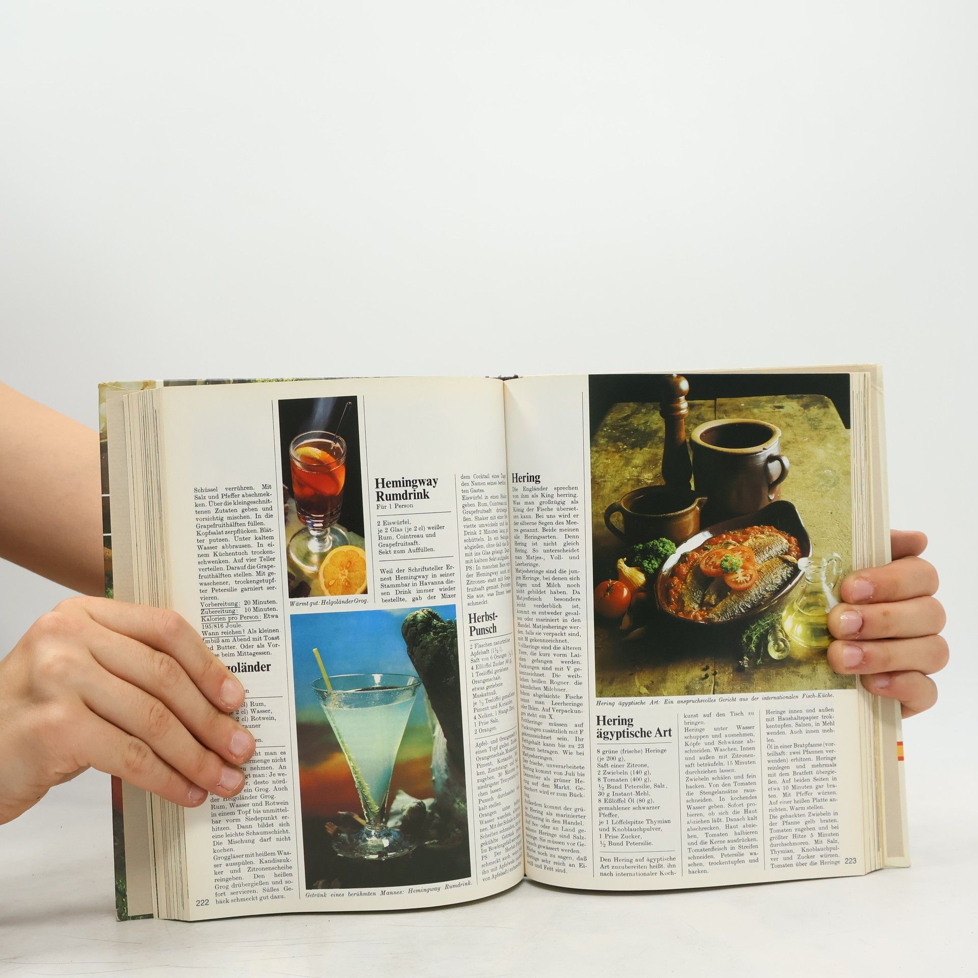 Autorenkollektiv Menu. Das Große Moderne Kochlexikon 4