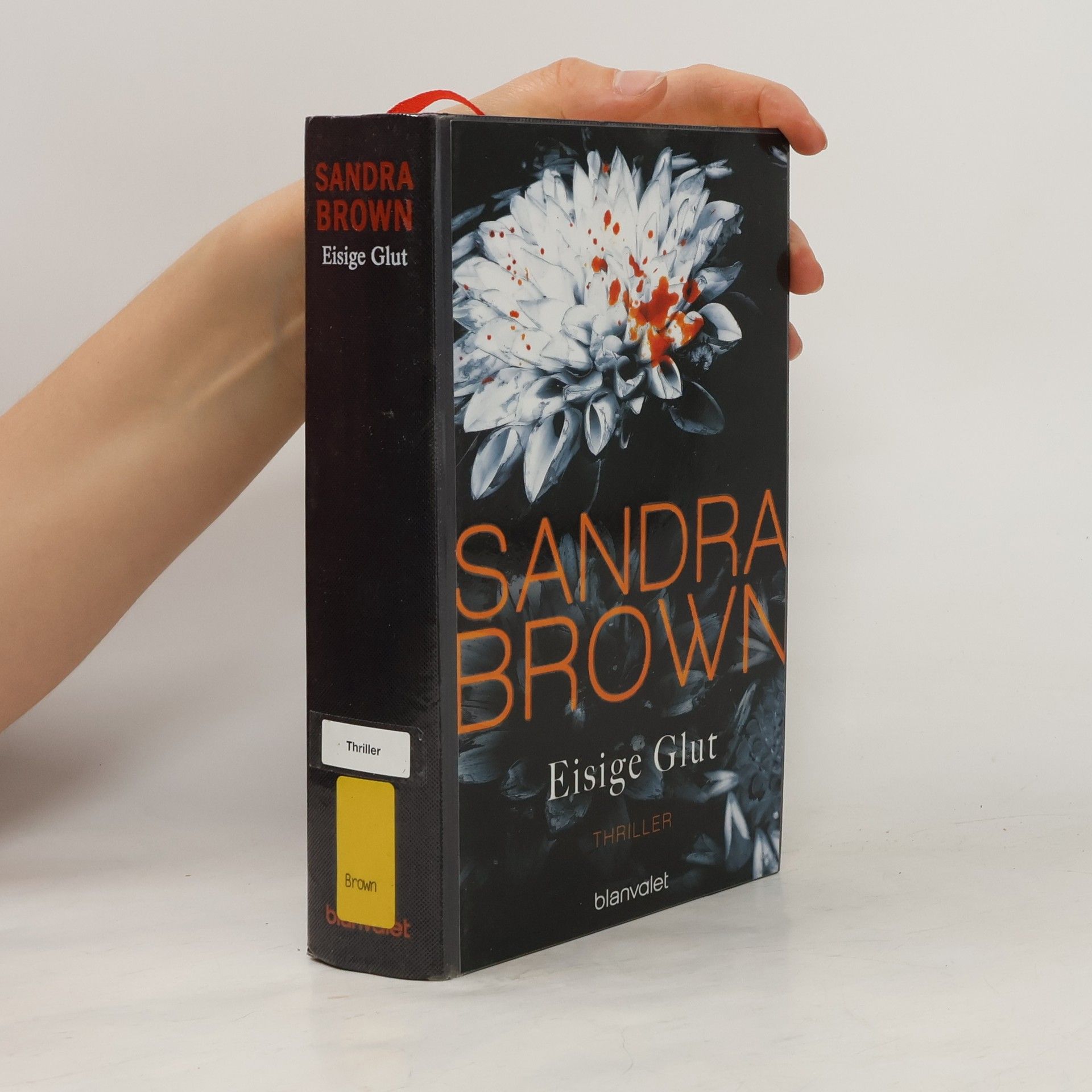 Sandra Brown Eisige Glut