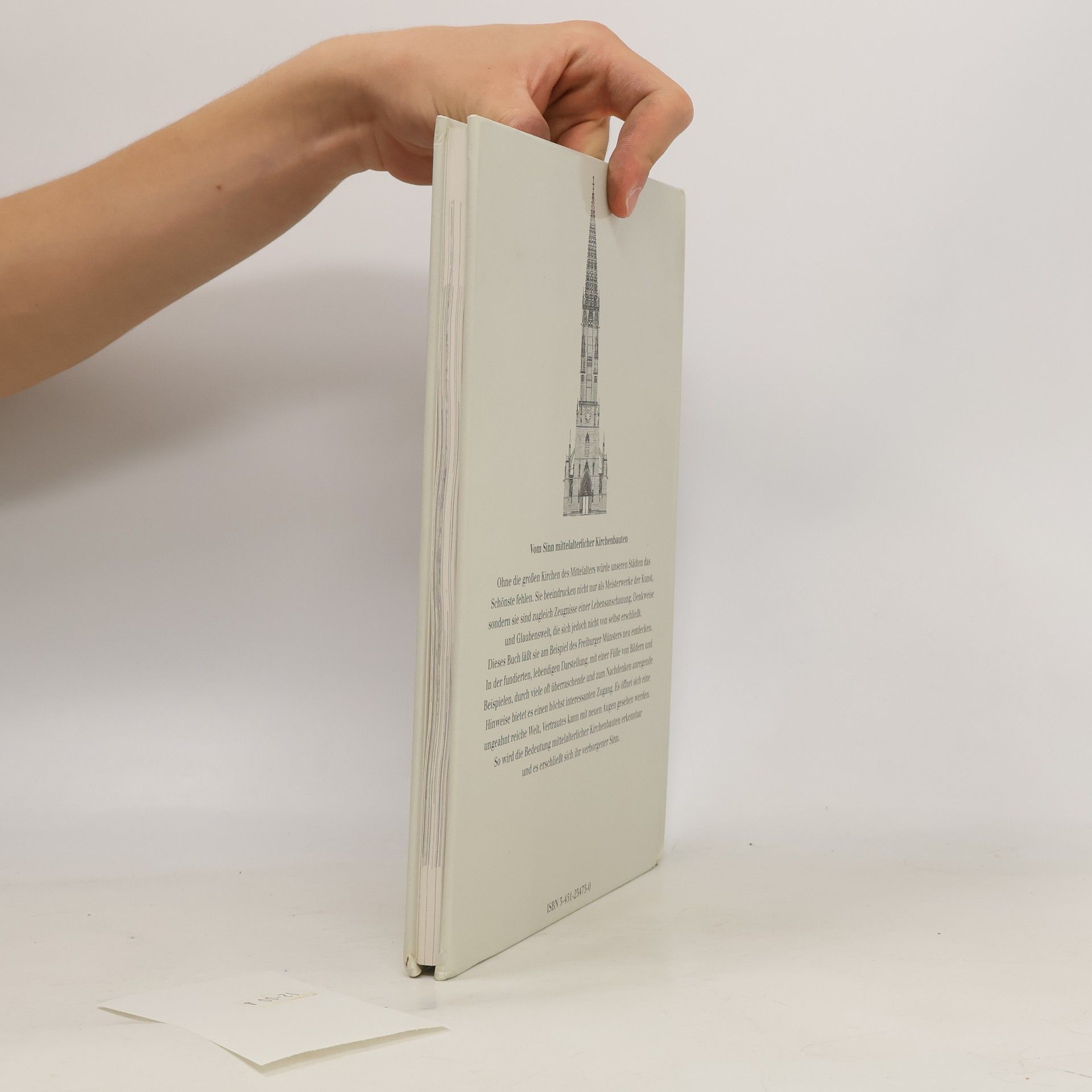 Konrad Kunze Himmel in Stein - das Freiburger Münster