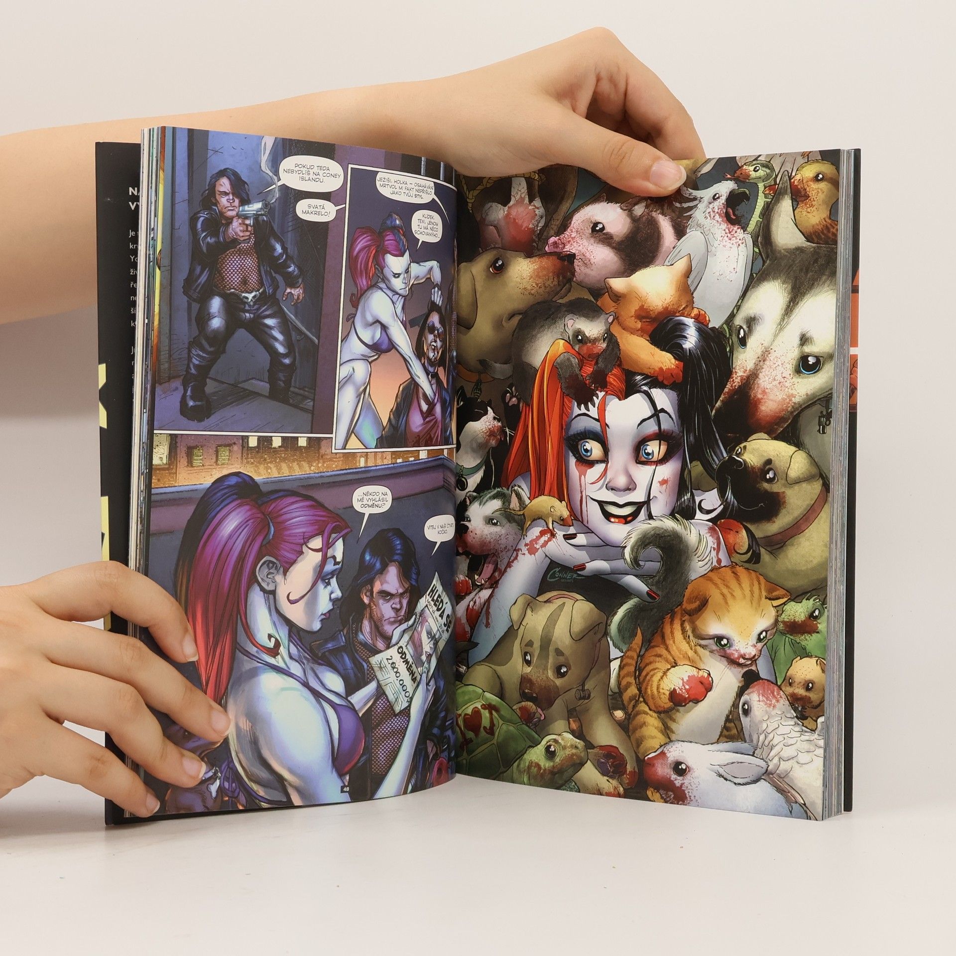 Collectif d'auteurs Harley Quinn. Kniha první, Šílená odměna