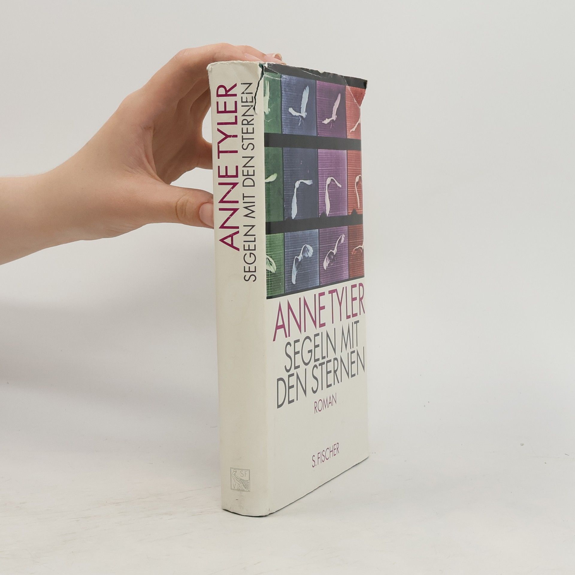 Anne Tyler Segeln mit den Sternen. Roman