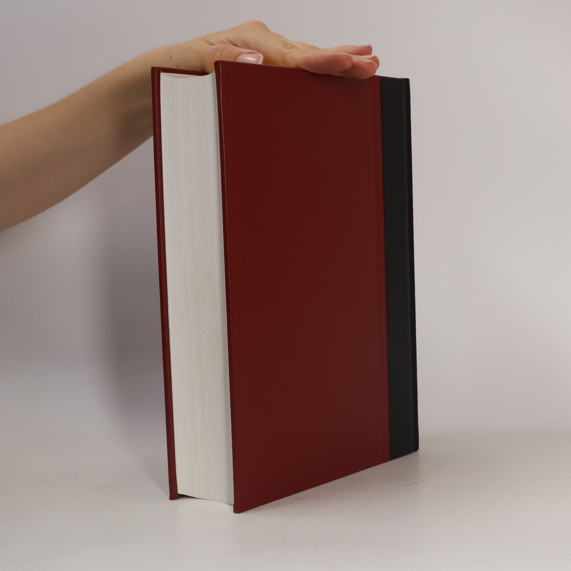 Autorenkollektiv Brockhaus Enzyklopädie 16 (NOS-PER)