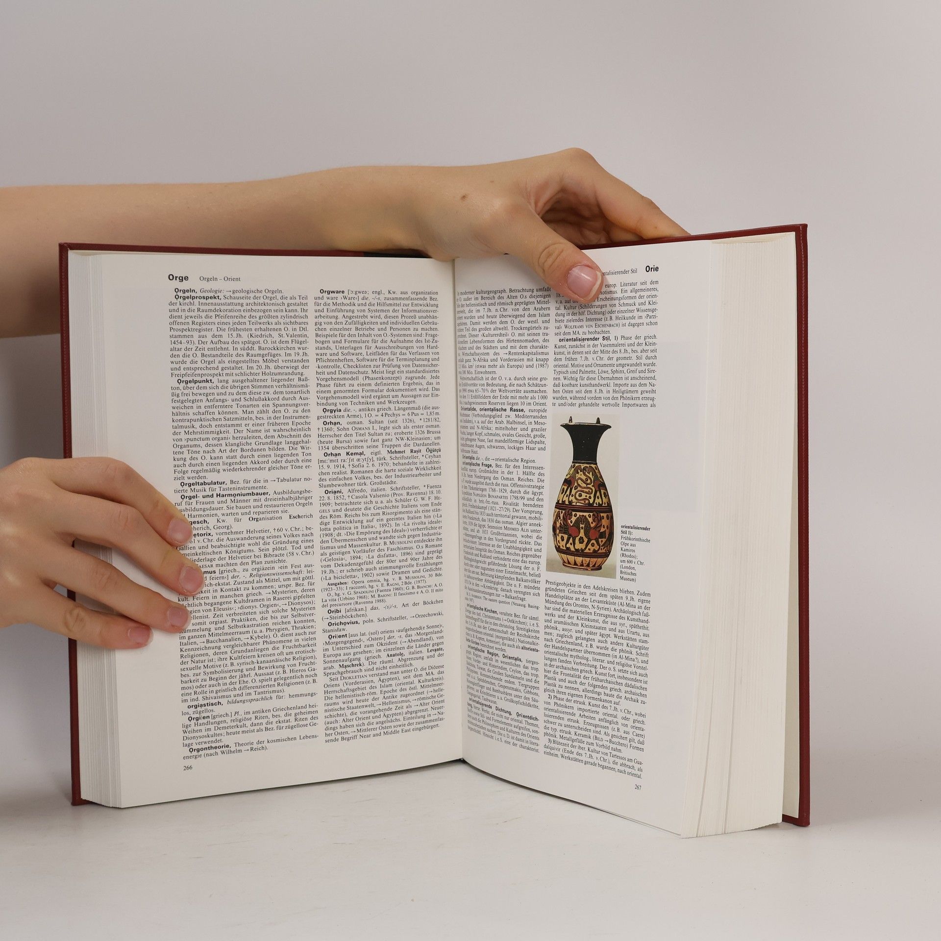 Autorenkollektiv Brockhaus Enzyklopädie 16 (NOS-PER)