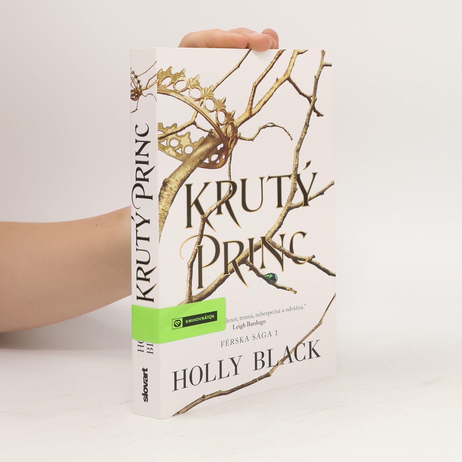 Holly Black Krutý princ