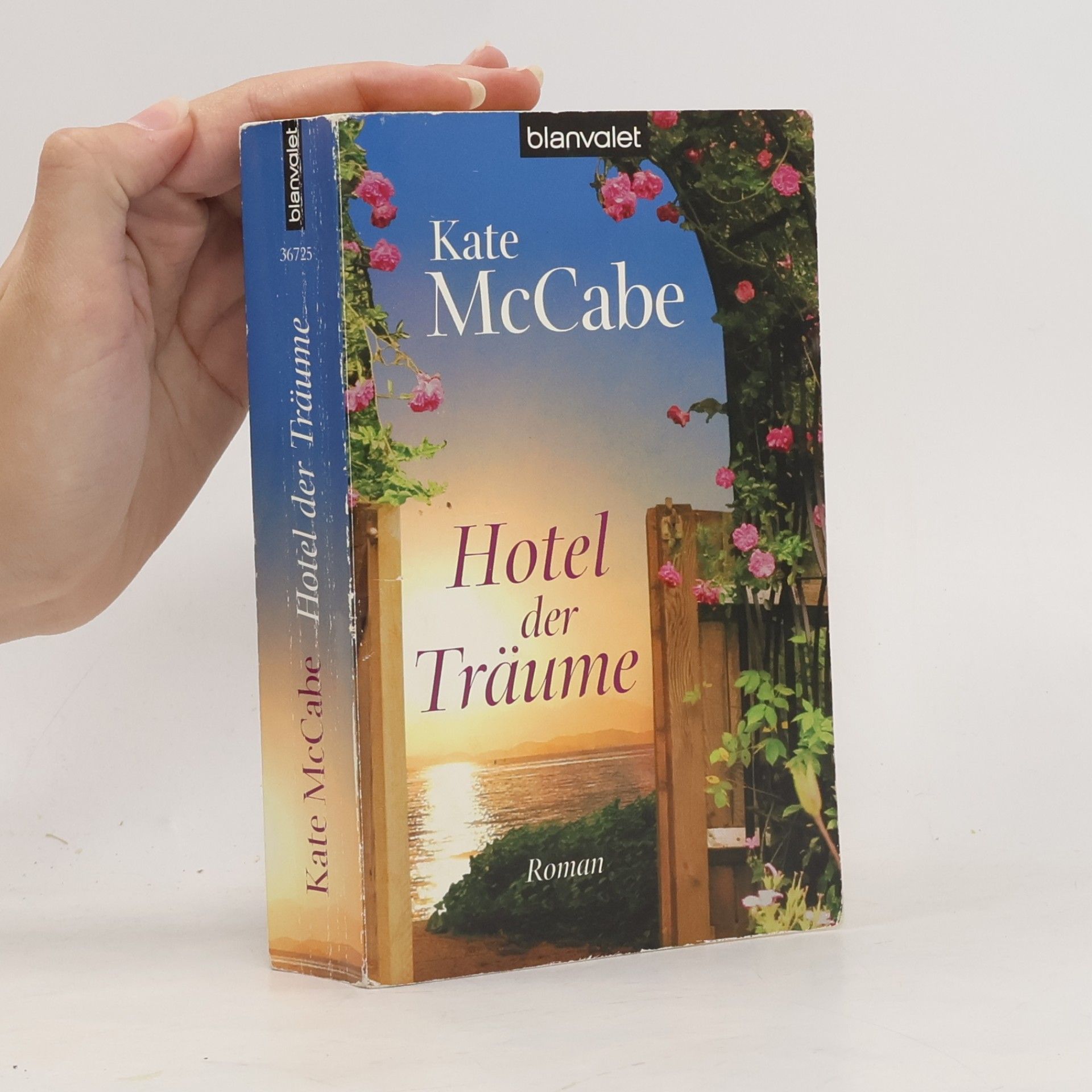 Kate McCabe Hotel der Träume. Roman