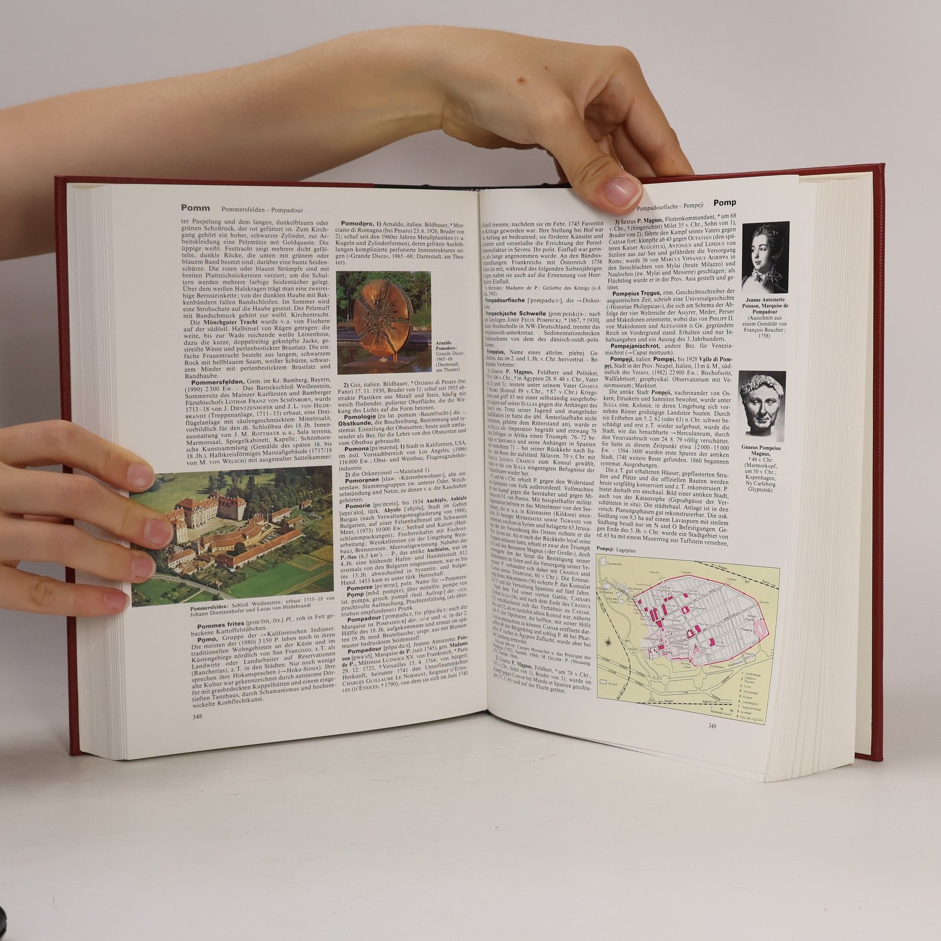 Autorenkollektiv Brockhaus Enzyklopädie. Band 17. Pes-Rac