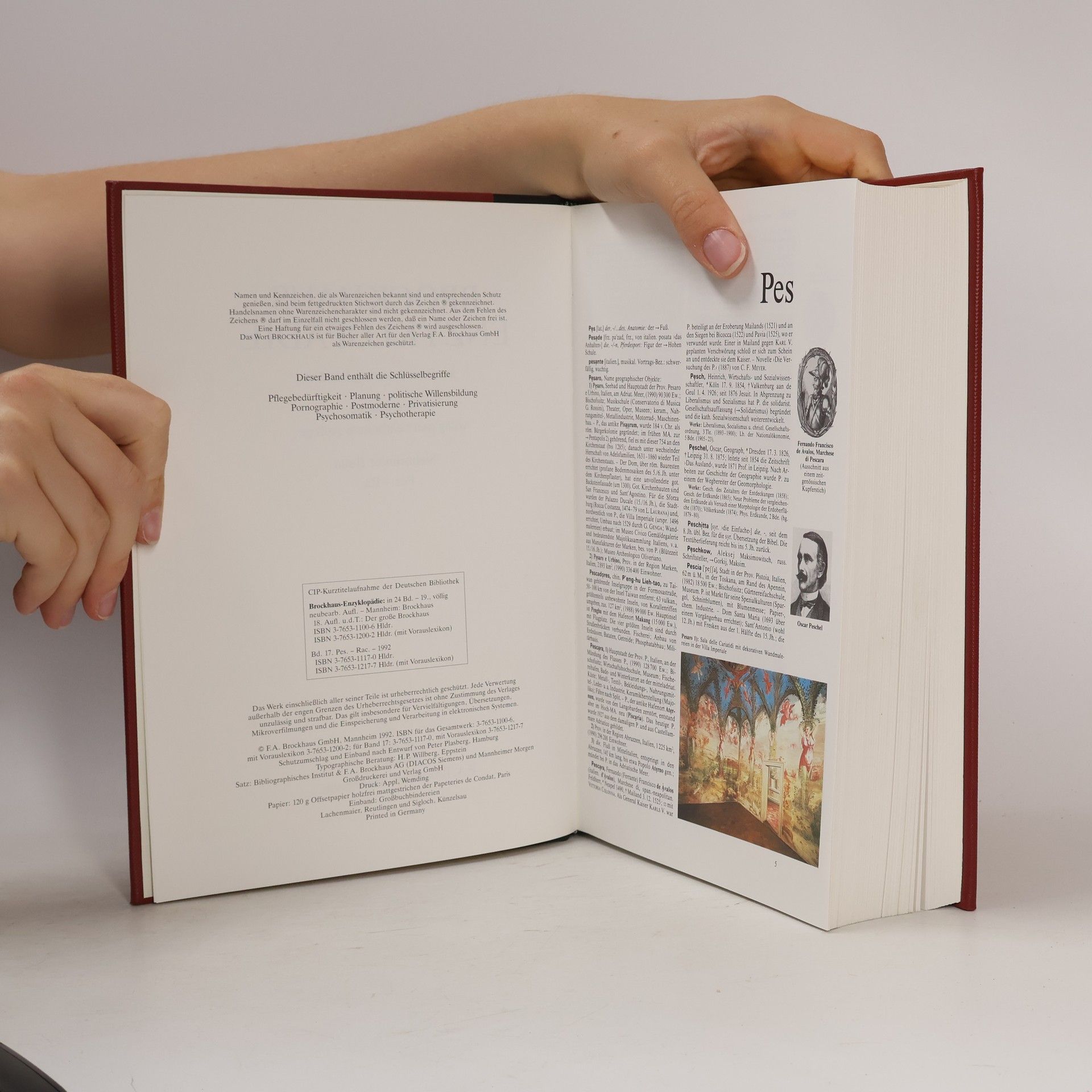 Autorenkollektiv Brockhaus Enzyklopädie. Band 17. Pes-Rac
