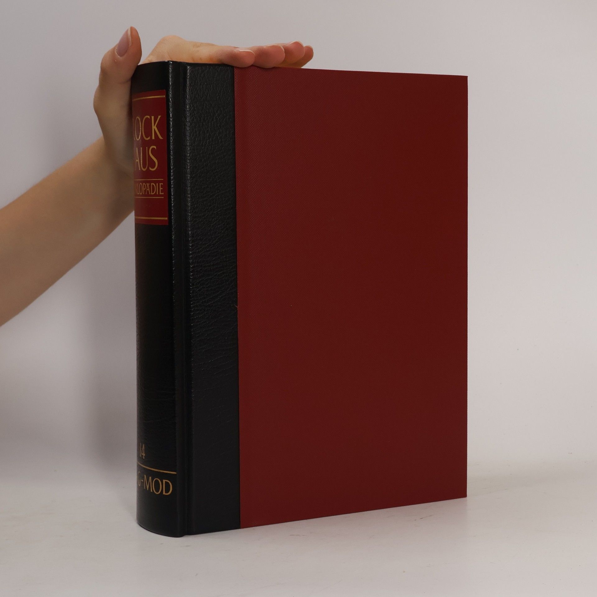 AA.VV. Brockhaus Enzyklopädie 14 (MAG-MOD)