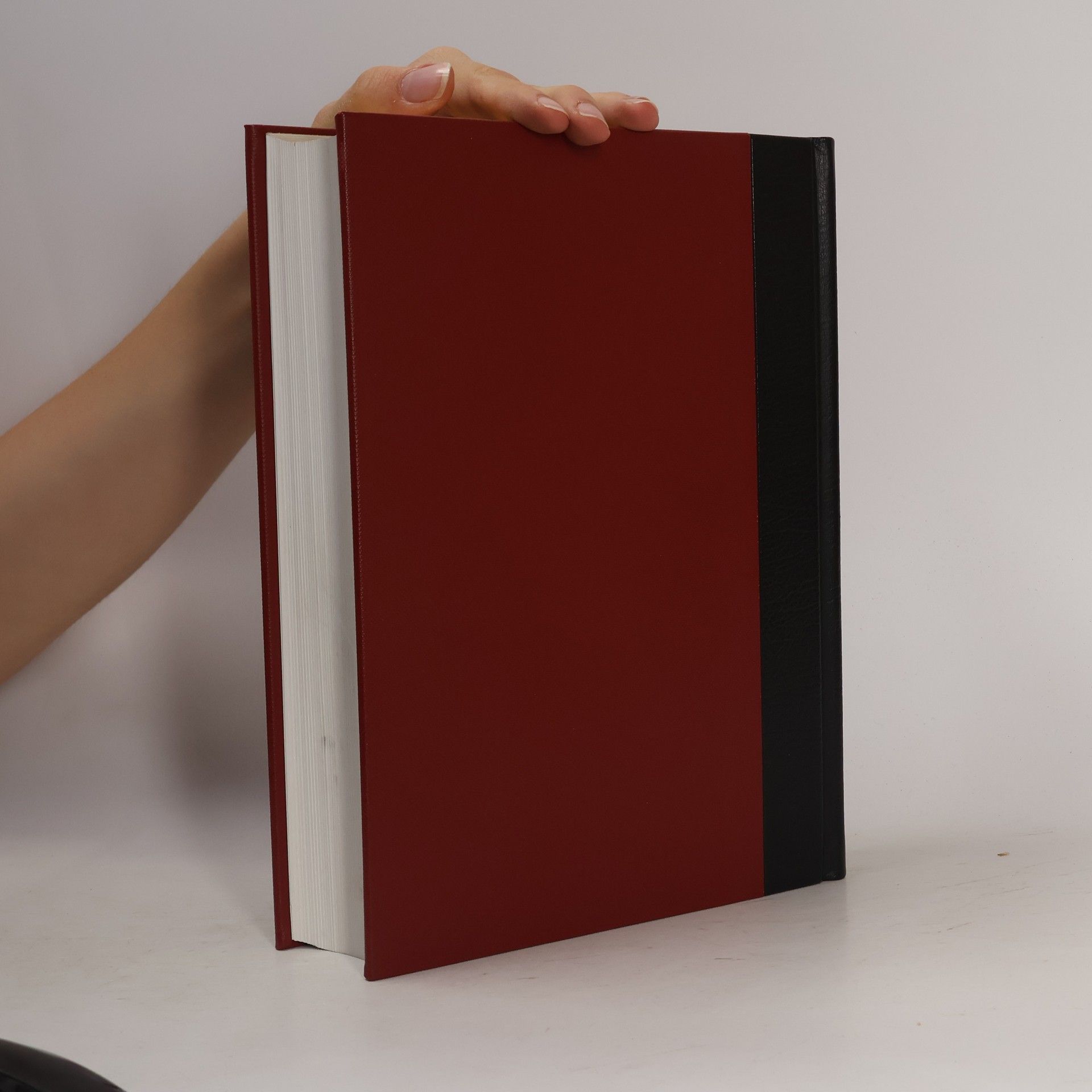 Autorenkollektiv Brockhaus Enzyklopädie 14 (MAG-MOD)