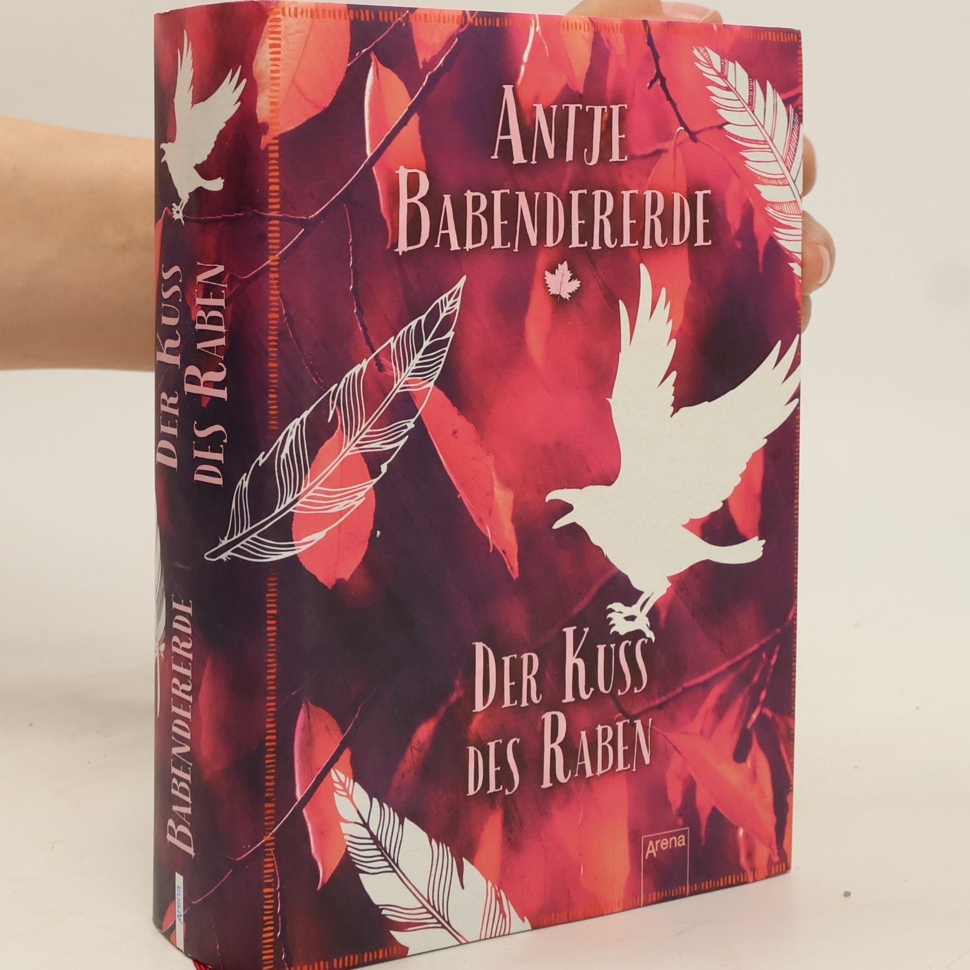 Antje Babendererde Der Kuss des Raben