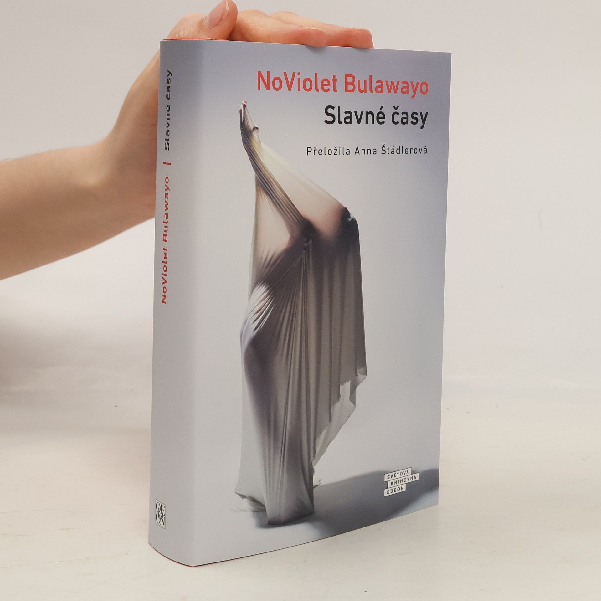 NoViolet Bulawayo Slavné časy