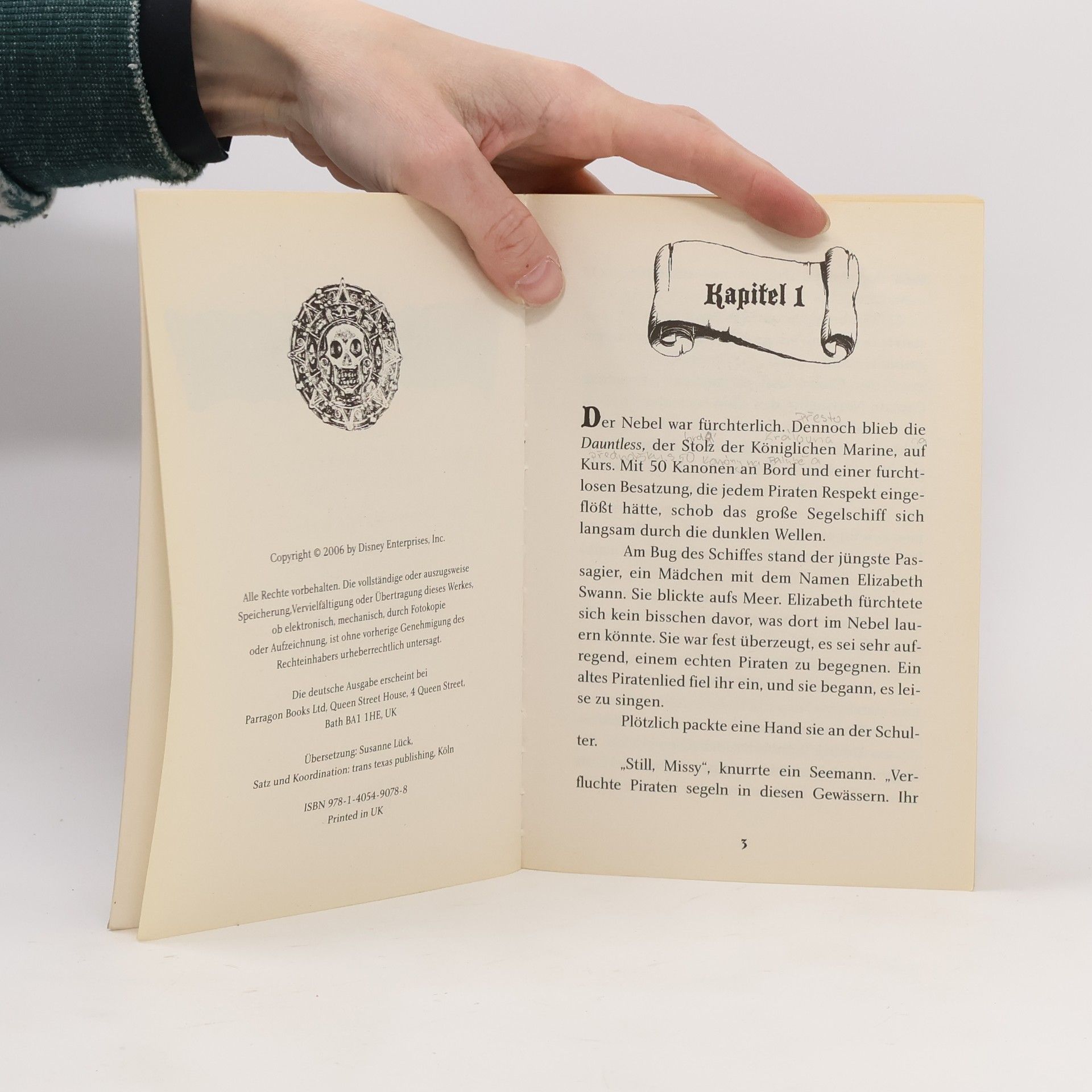 Autorenkollektiv Fluch der Karibik