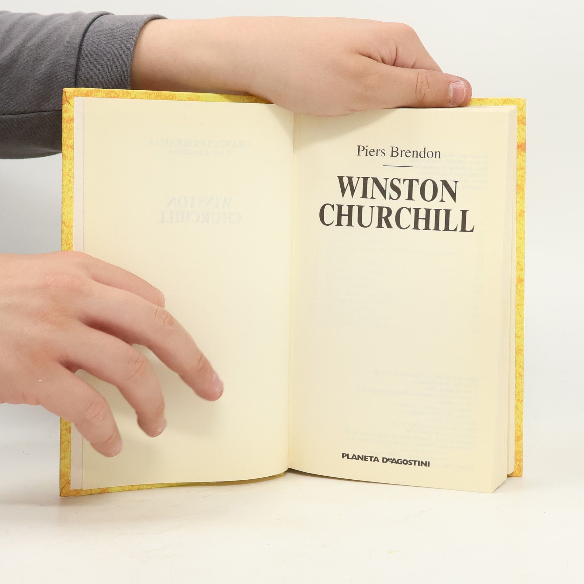 Piers Brendon Winston Churchill
