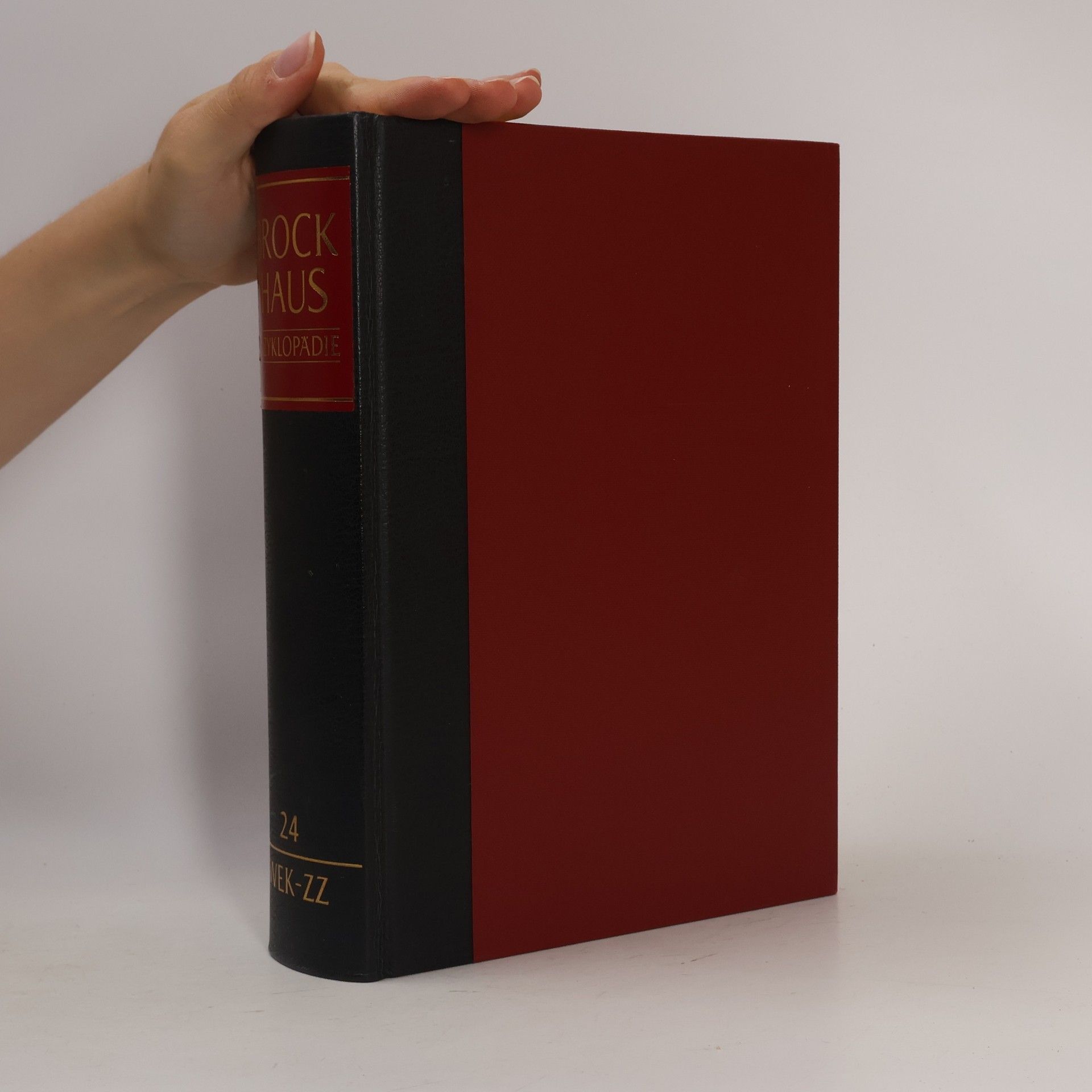 Autorenkollektiv Brockhaus Enzyklopädie 24 (Wek-Zz)