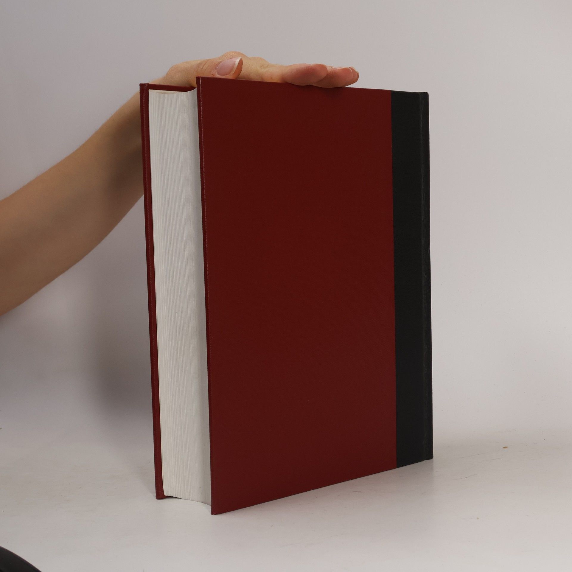 Kolektiv autorů Brockhaus Enzyklopädie 24 (Wek-Zz)