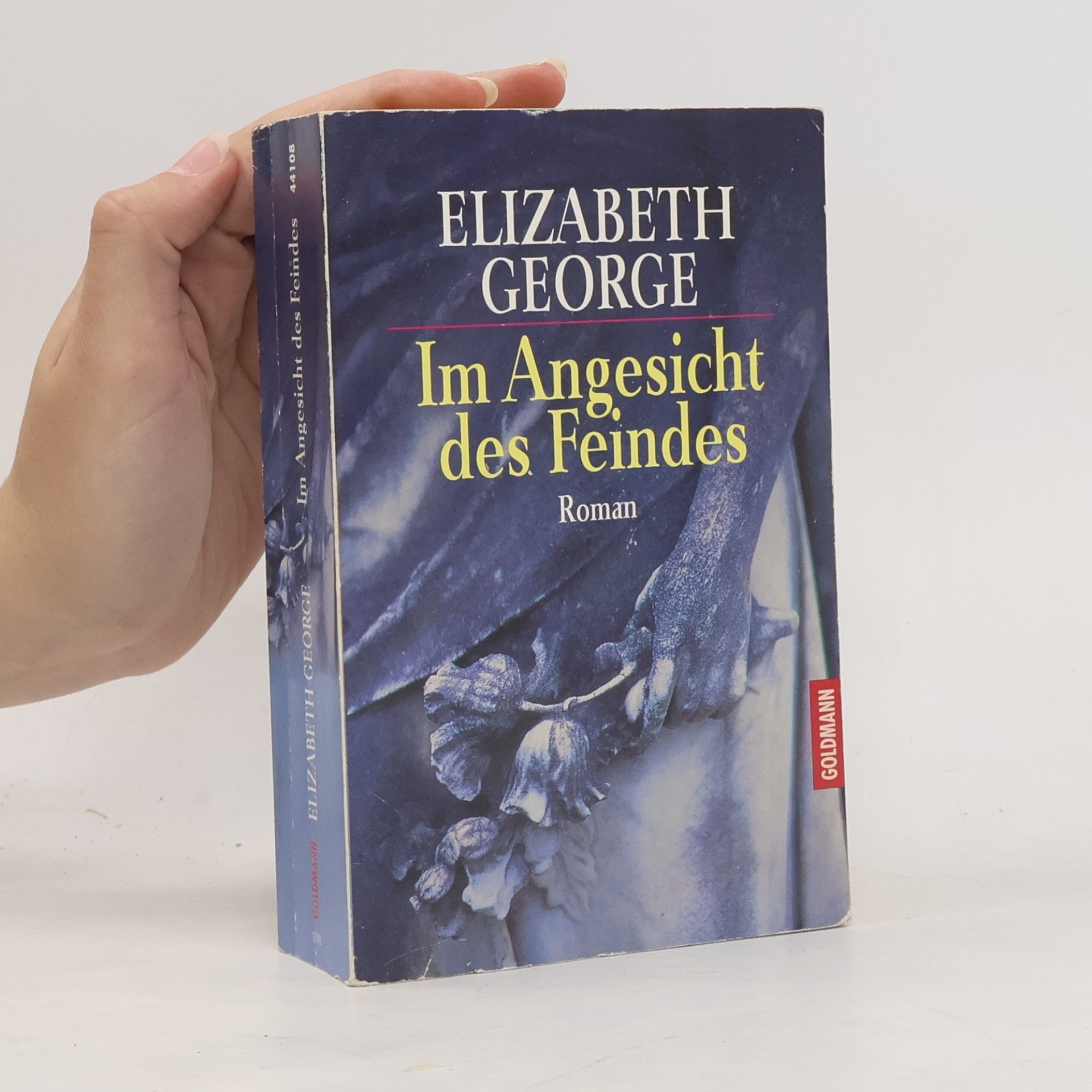 Elizabeth George Im Angesicht des Feindes