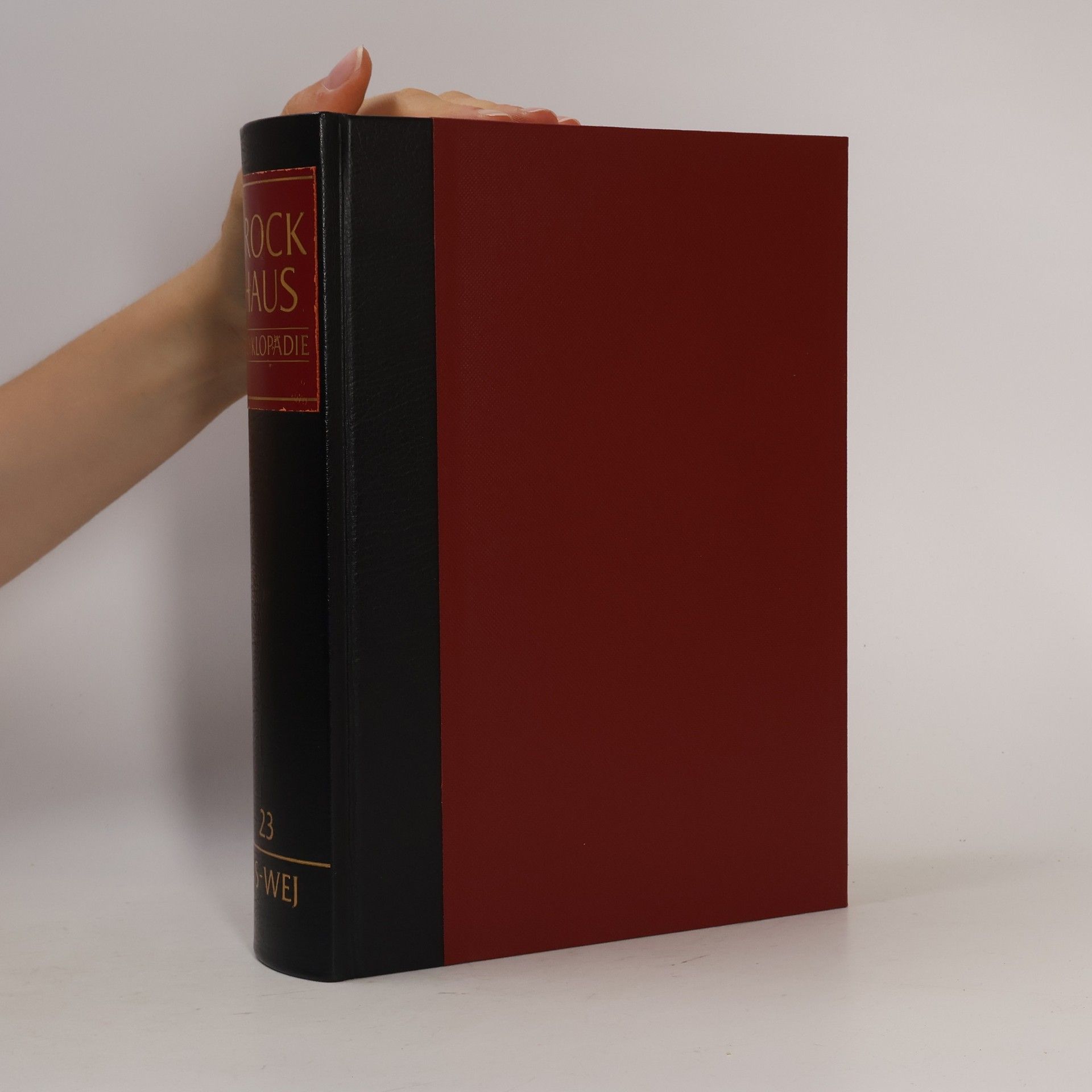 Autorenkollektiv Brockhaus Enzyklopädie 23 (US-WEJ)