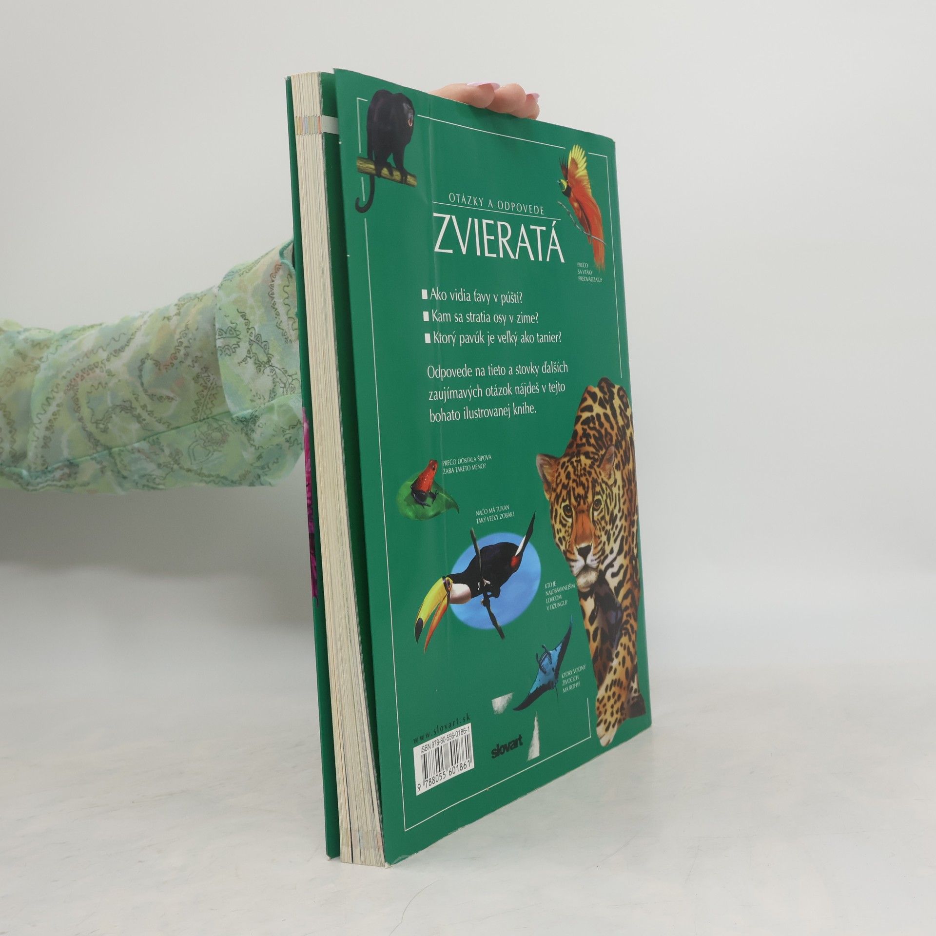 Autorenkollektiv Zvieratá: otázky a odpovede