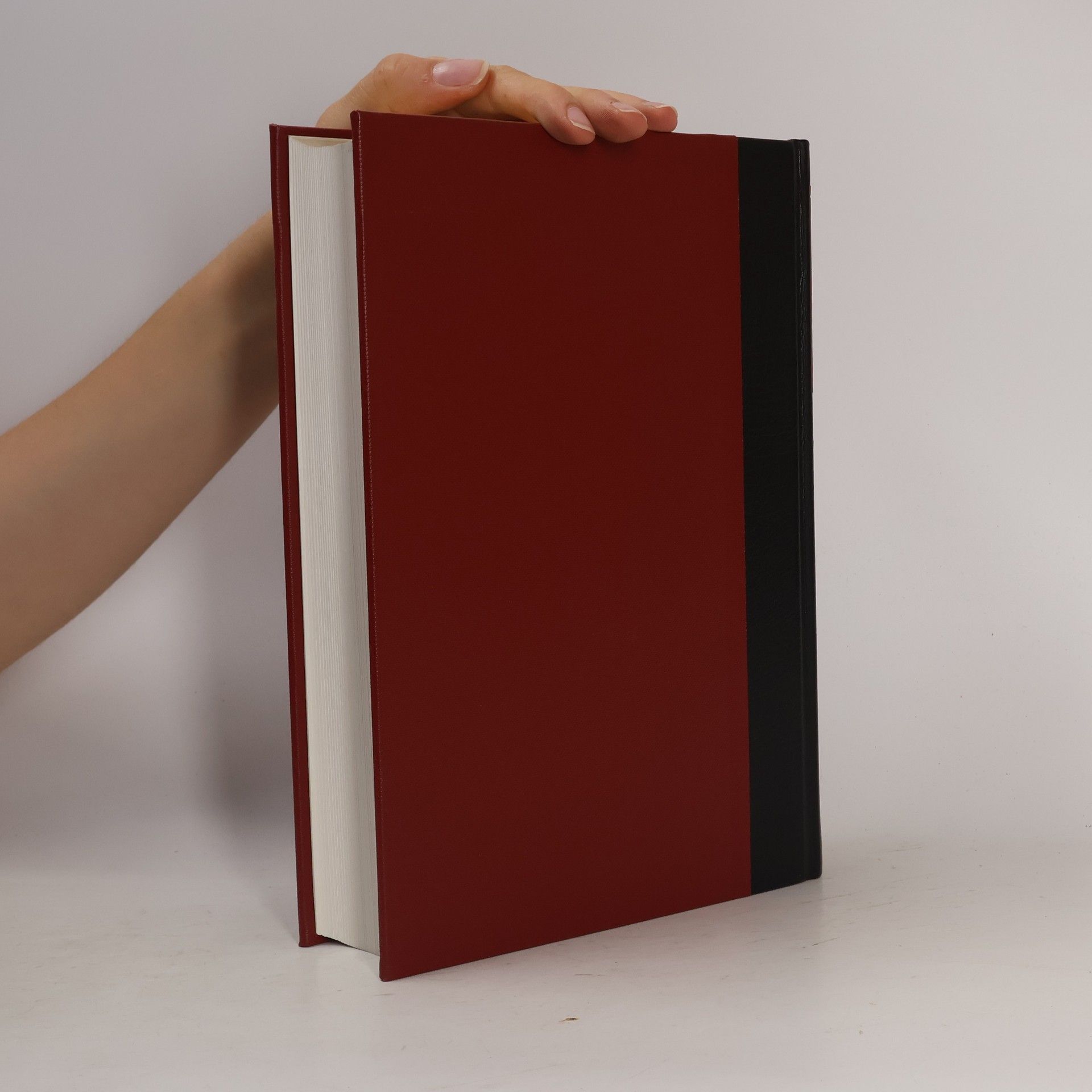 Autorenkollektiv Brockhaus Enzyklopädie 22 (Tep-Ur)