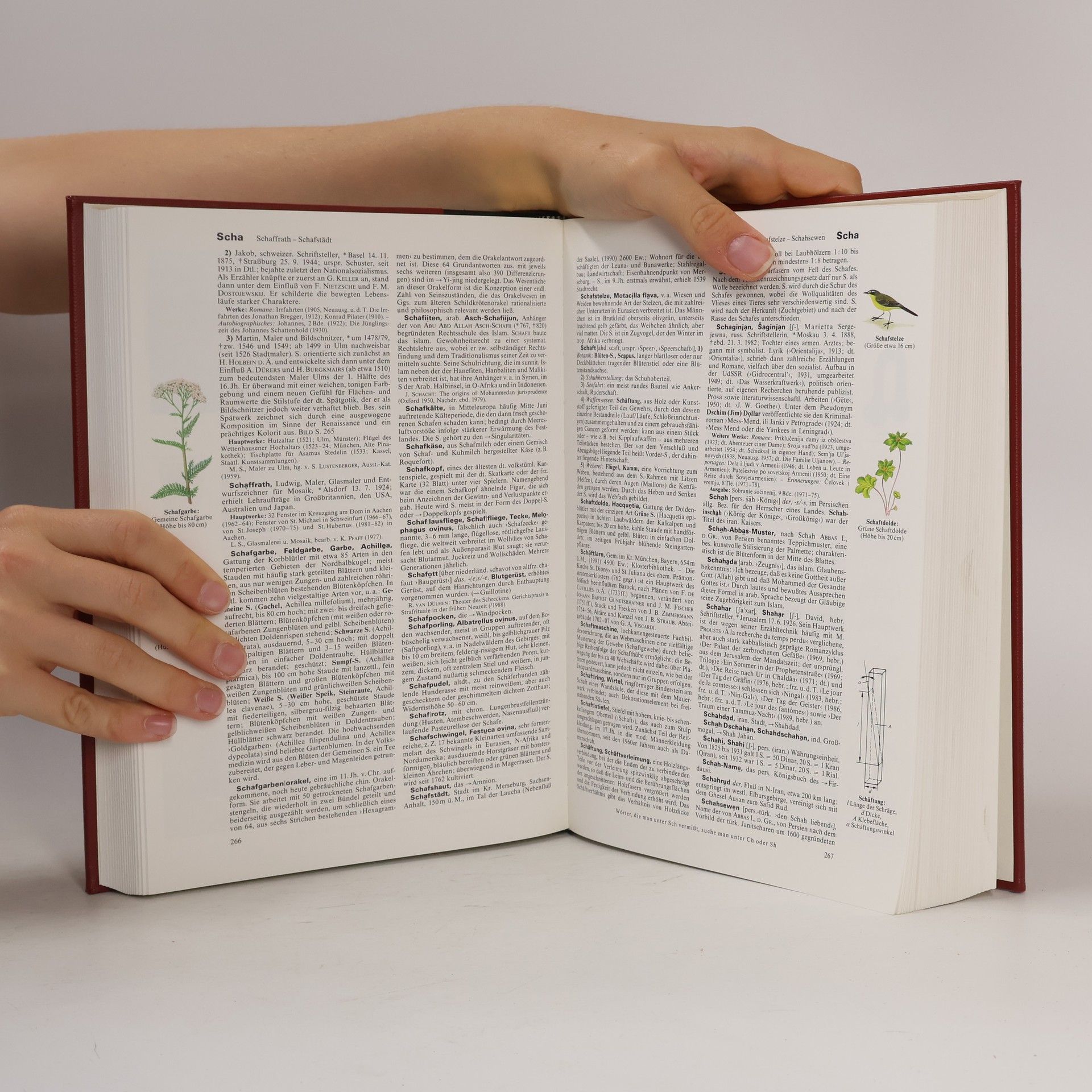 Autorenkollektiv Brockhaus enzyklopedie 19. RUT-SCH