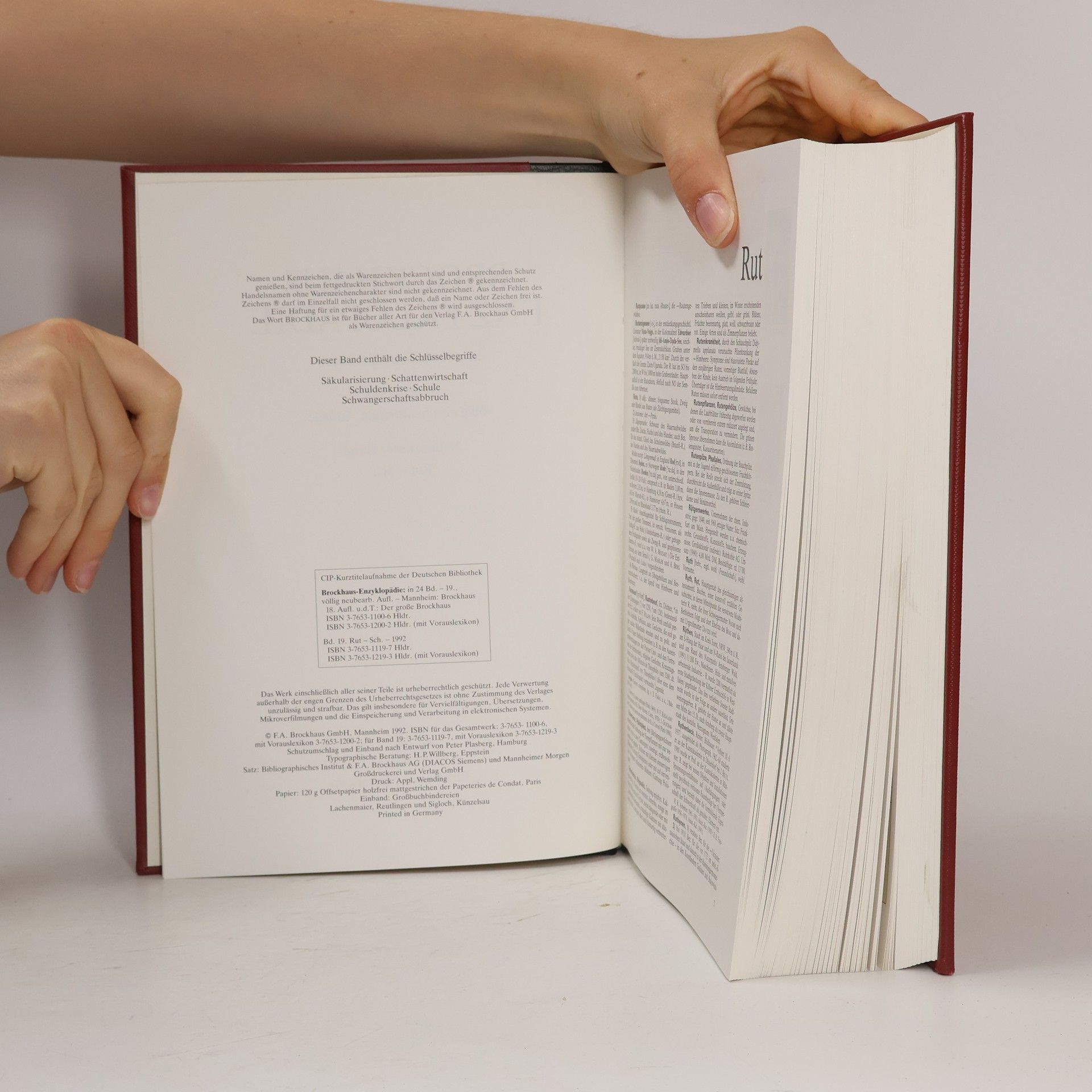 Autorenkollektiv Brockhaus enzyklopedie 19. RUT-SCH