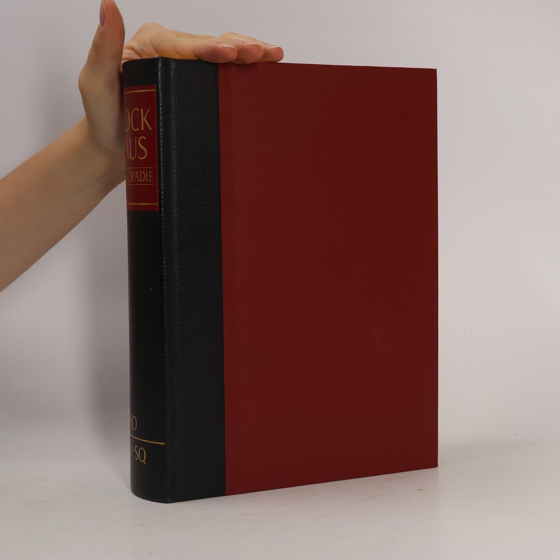 Autorenkollektiv Brockhaus Enzyklopädie 20 (SCI-SQ)