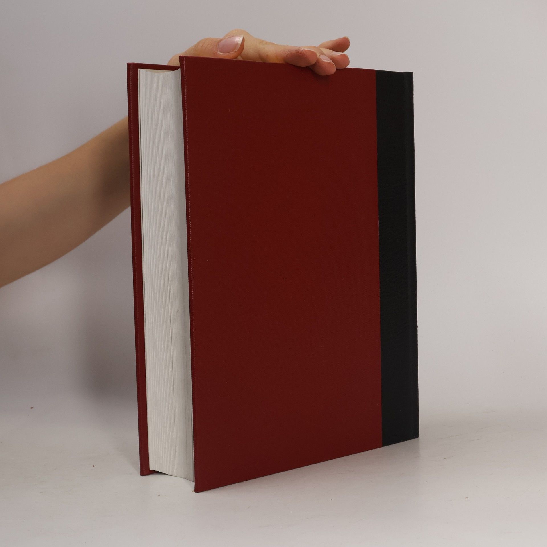 Autorenkollektiv Brockhaus Enzyklopädie 20 (SCI-SQ)