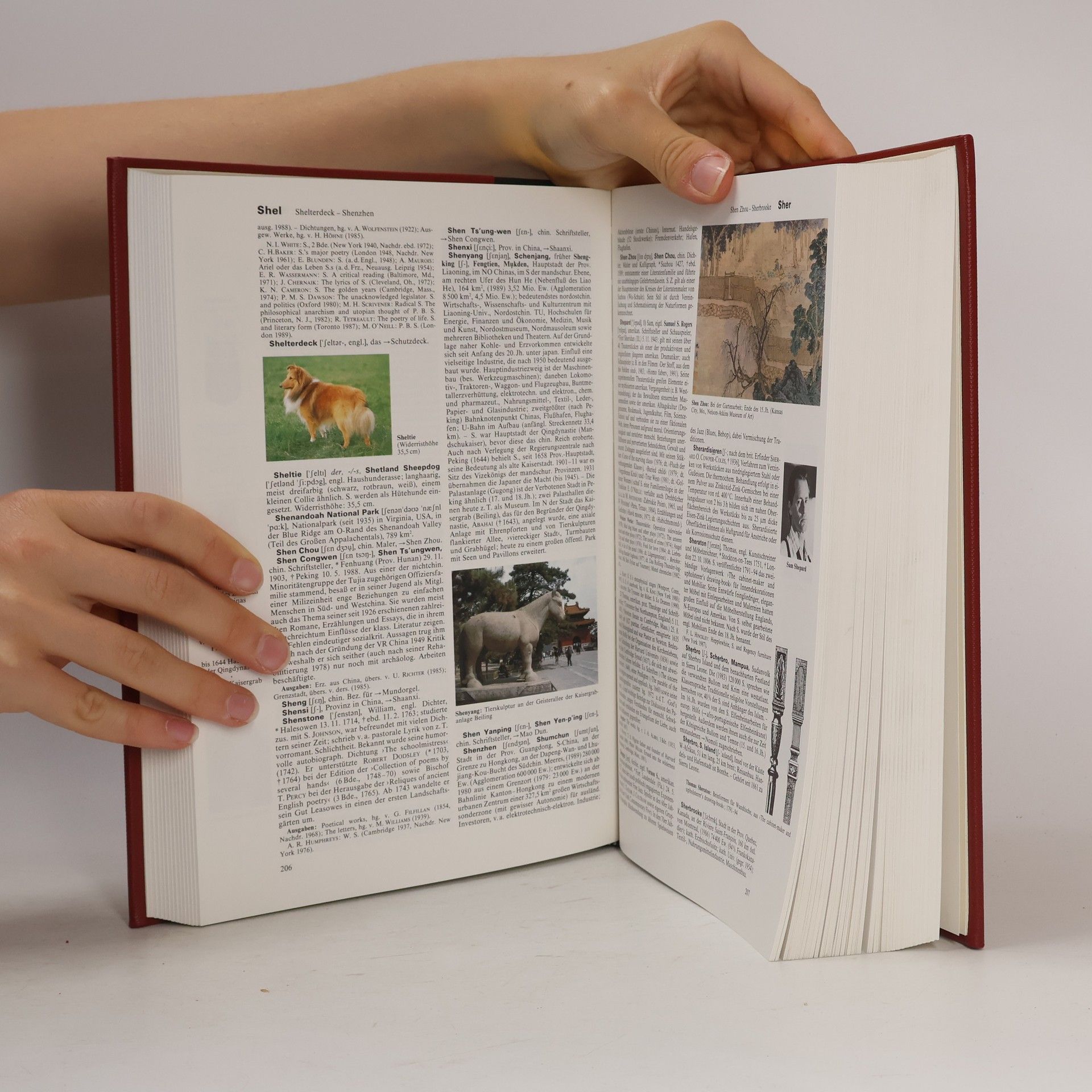 Autorenkollektiv Brockhaus Enzyklopädie 20 (SCI-SQ)