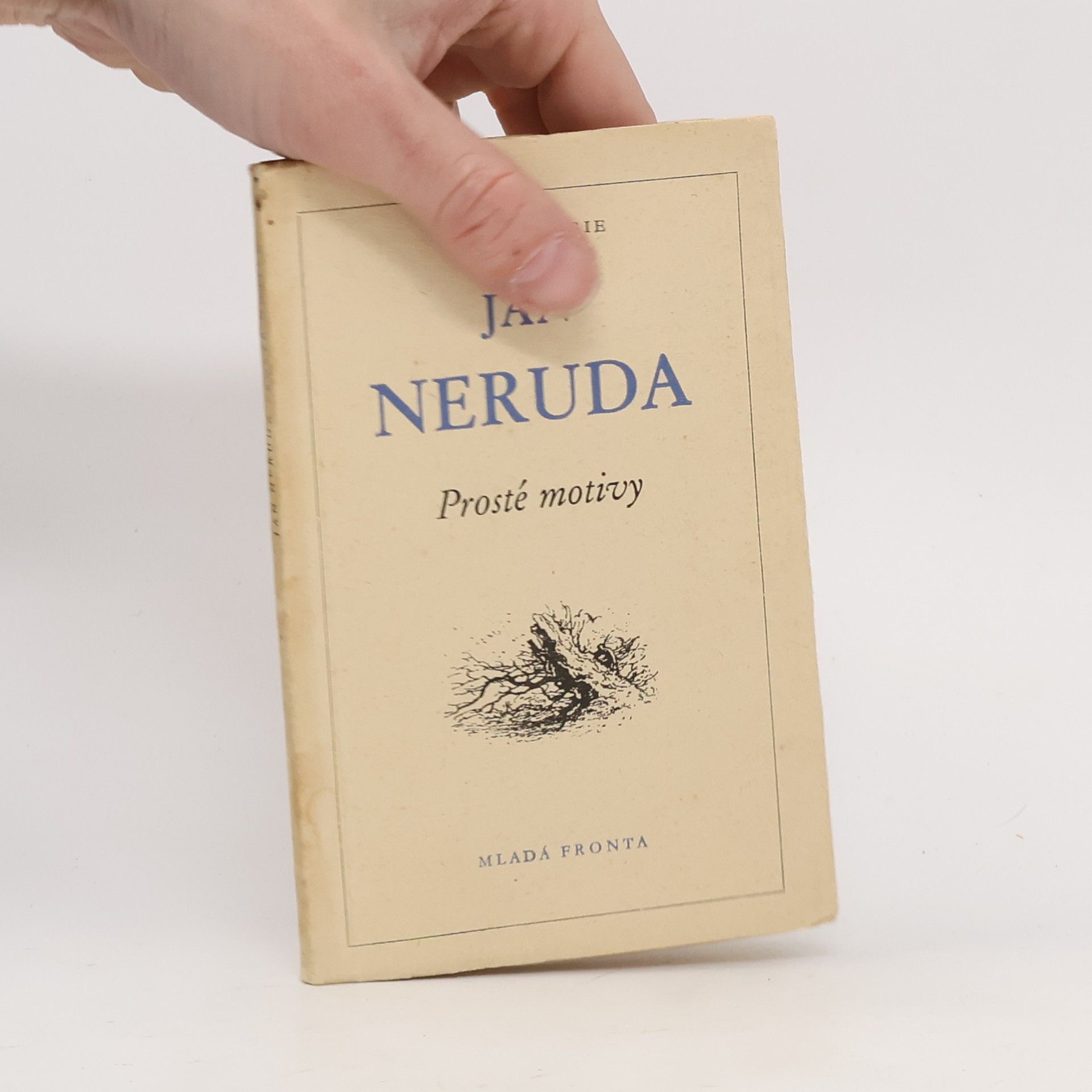 Jan Neruda Květy poesie 48. Prosté motivy