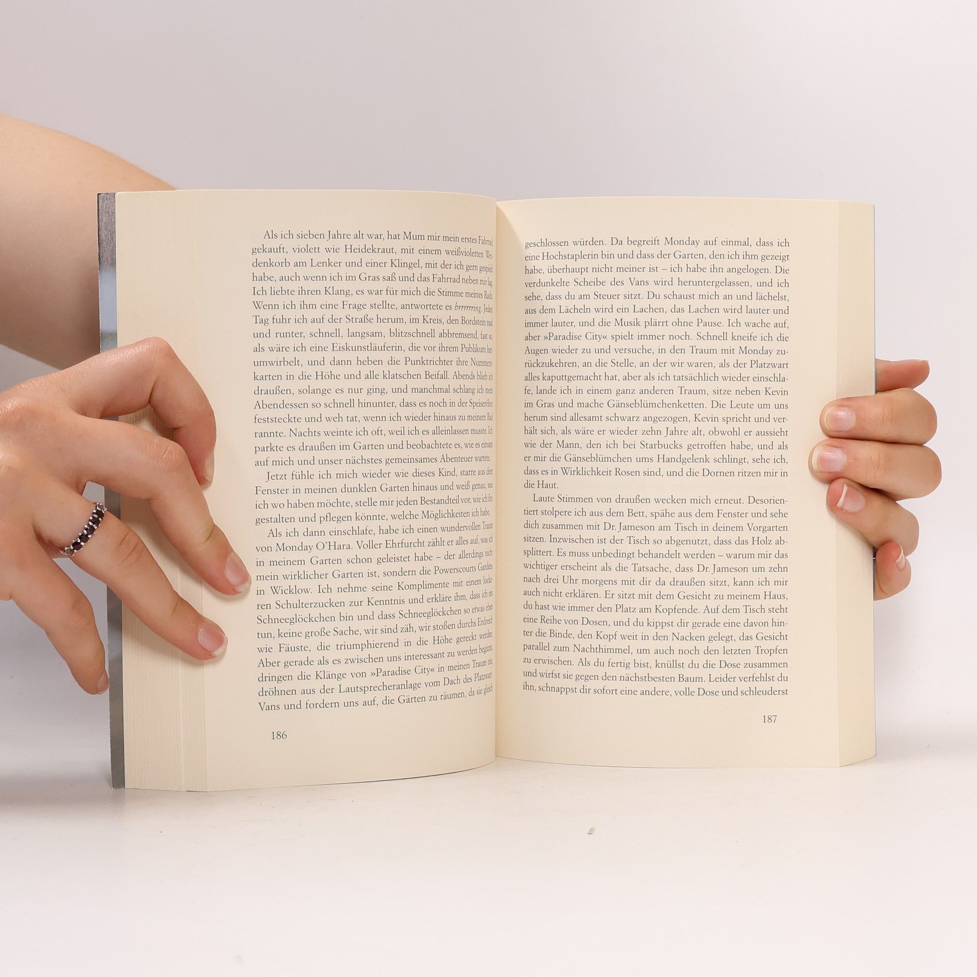 Cecelia Ahern Das Jahr, in dem ich dich traf