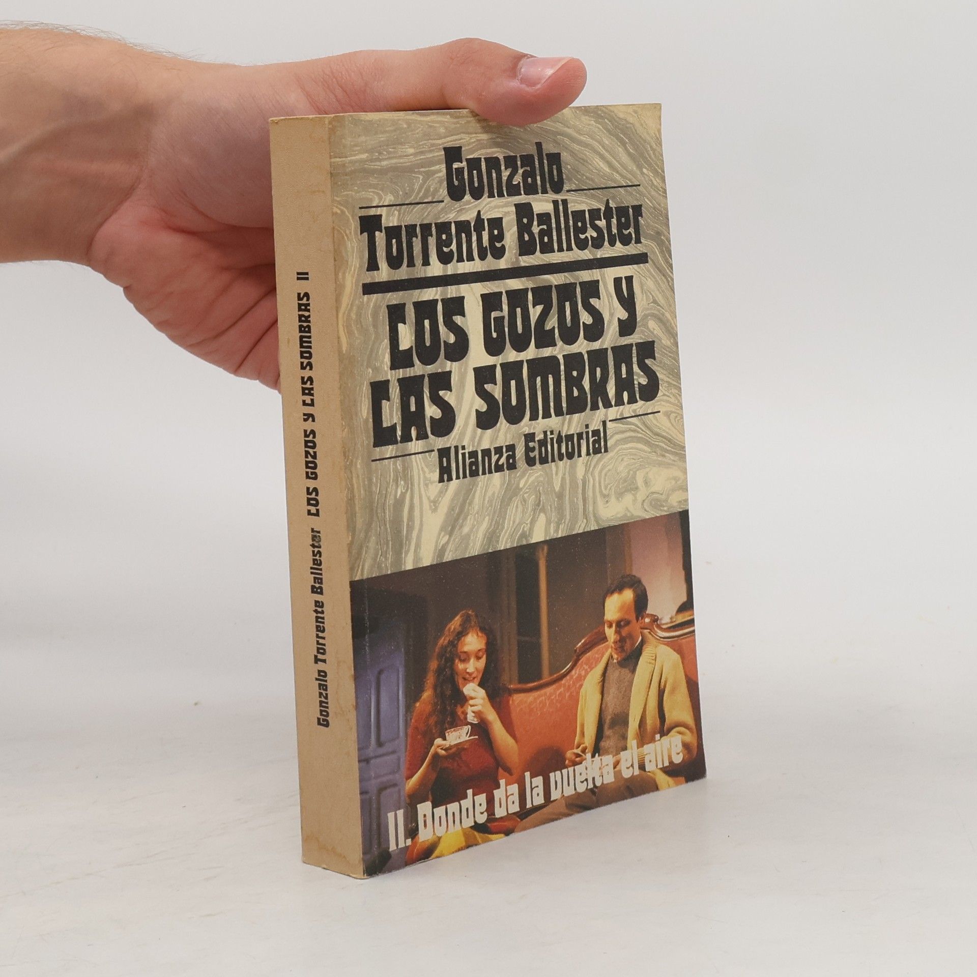 Los gozos y las sombras