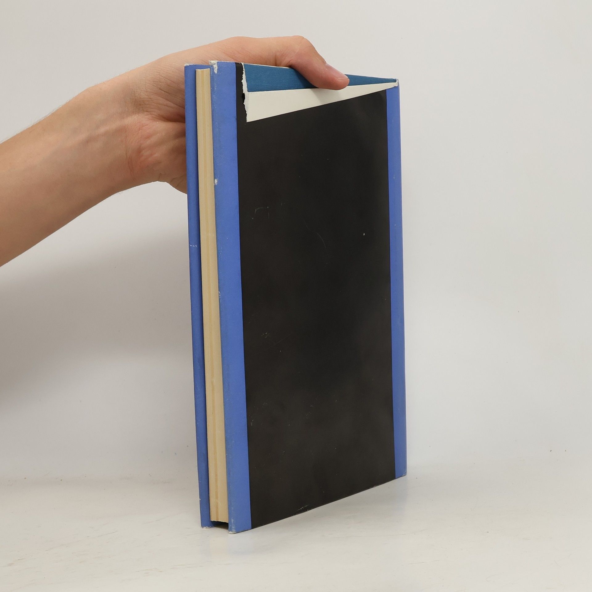 Kolektiv autorů Biblický slovník