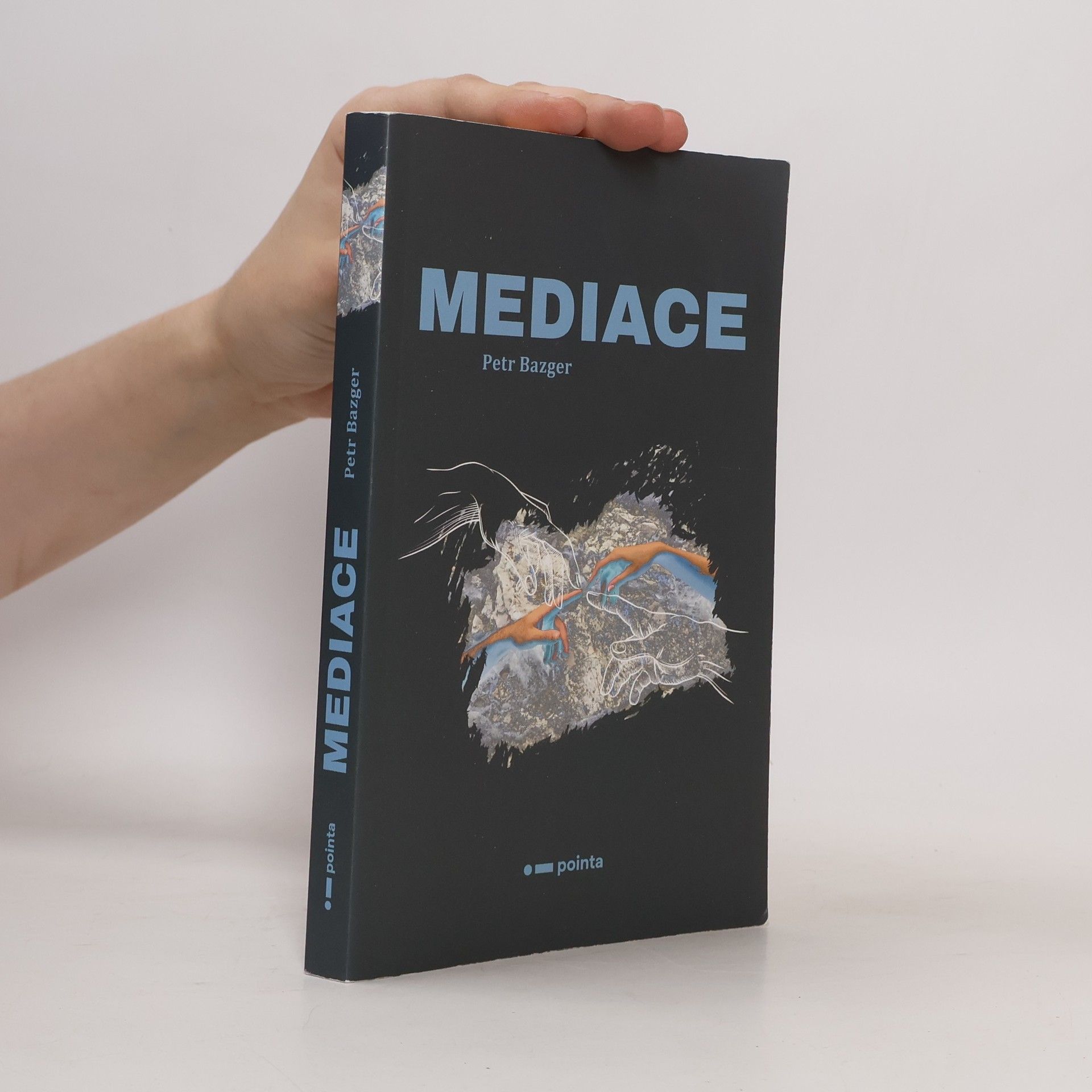 Petr Bazger Mediace