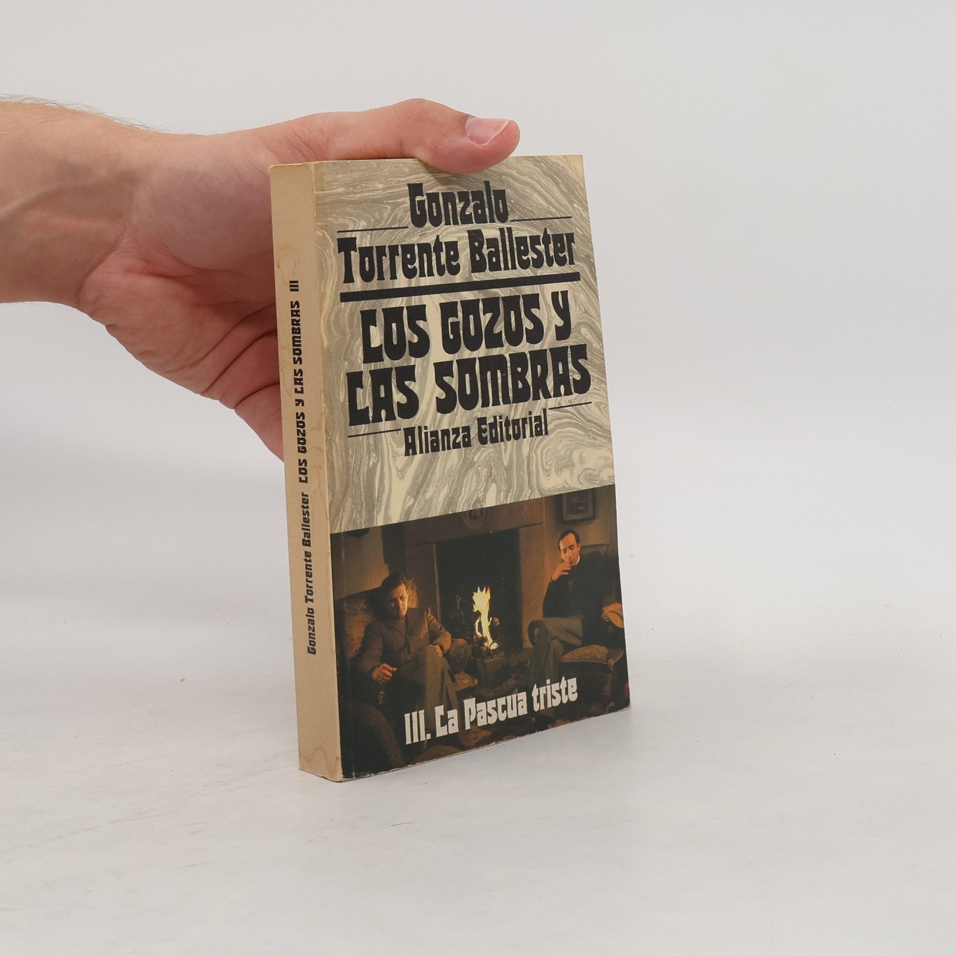 Los gozos y las sombras III