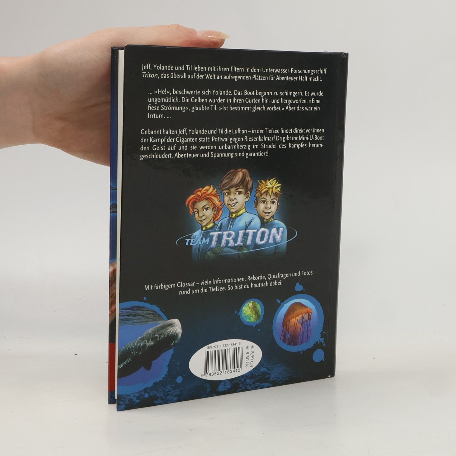 Bernd Flessner Team Triton, Kampf der Giganten