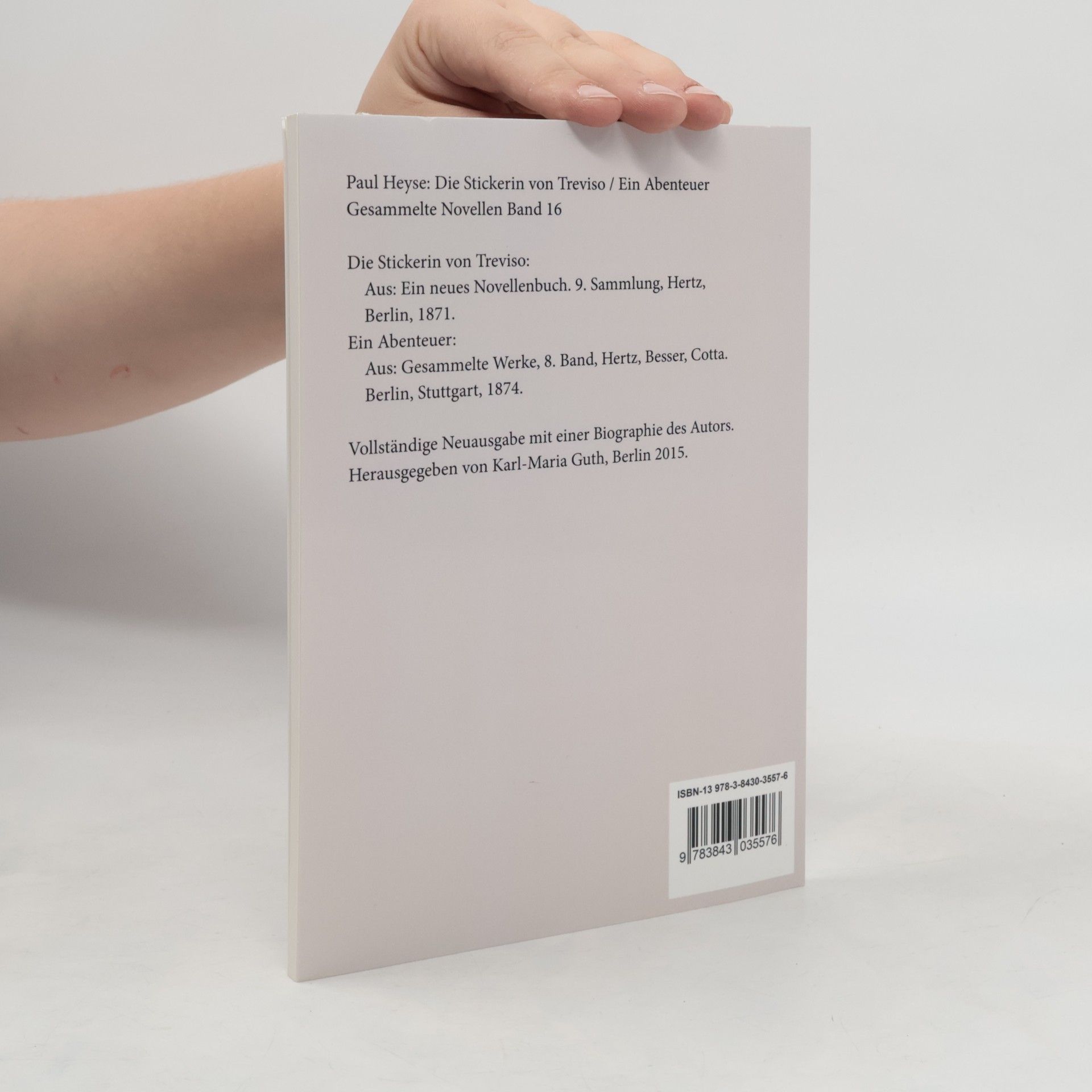 Paul Heyse Gesammelte Novellen - 16: Die Stickerin von Treviso / Ein Abenteuer