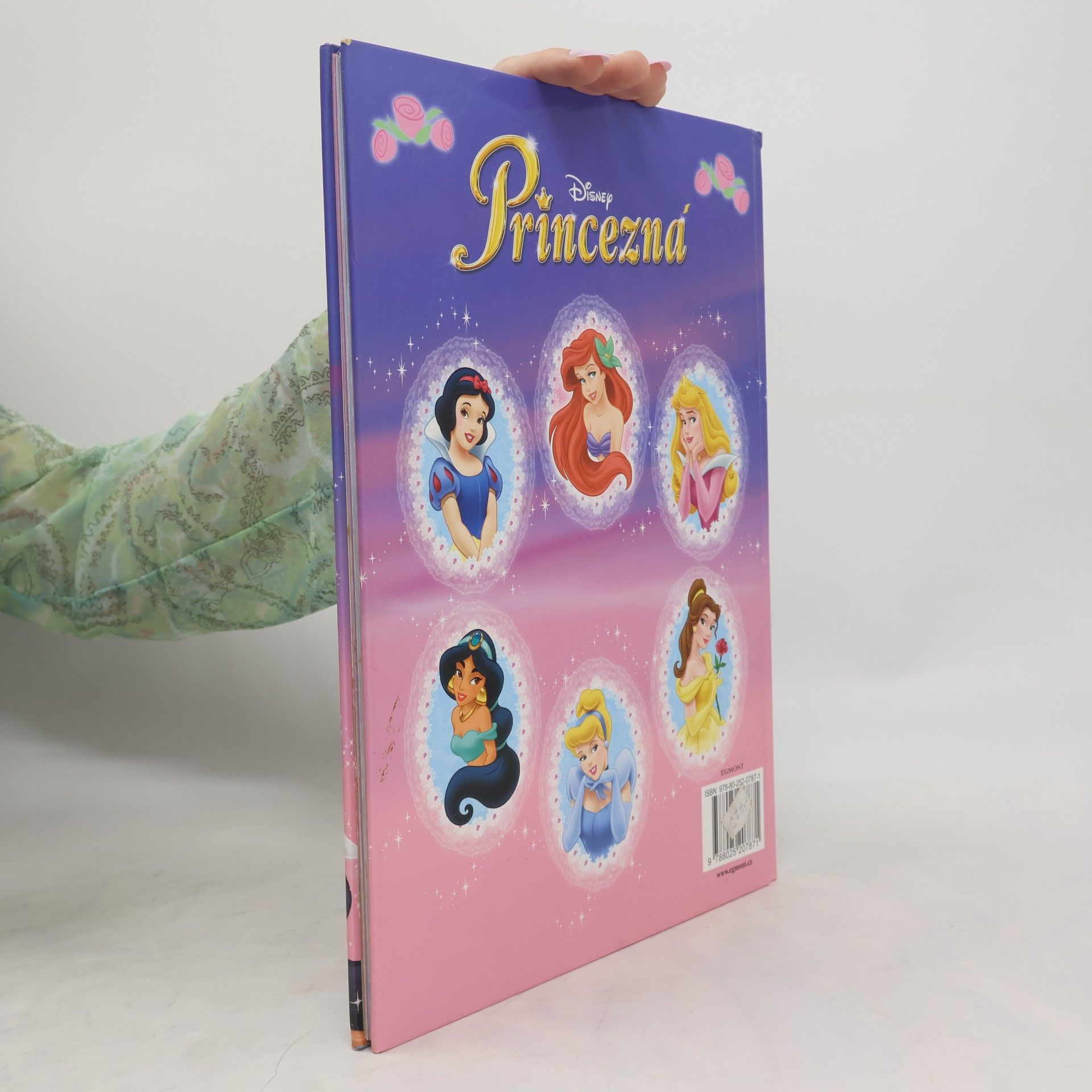 Žofia Dzuriková Princezná : knižka na rok 2008