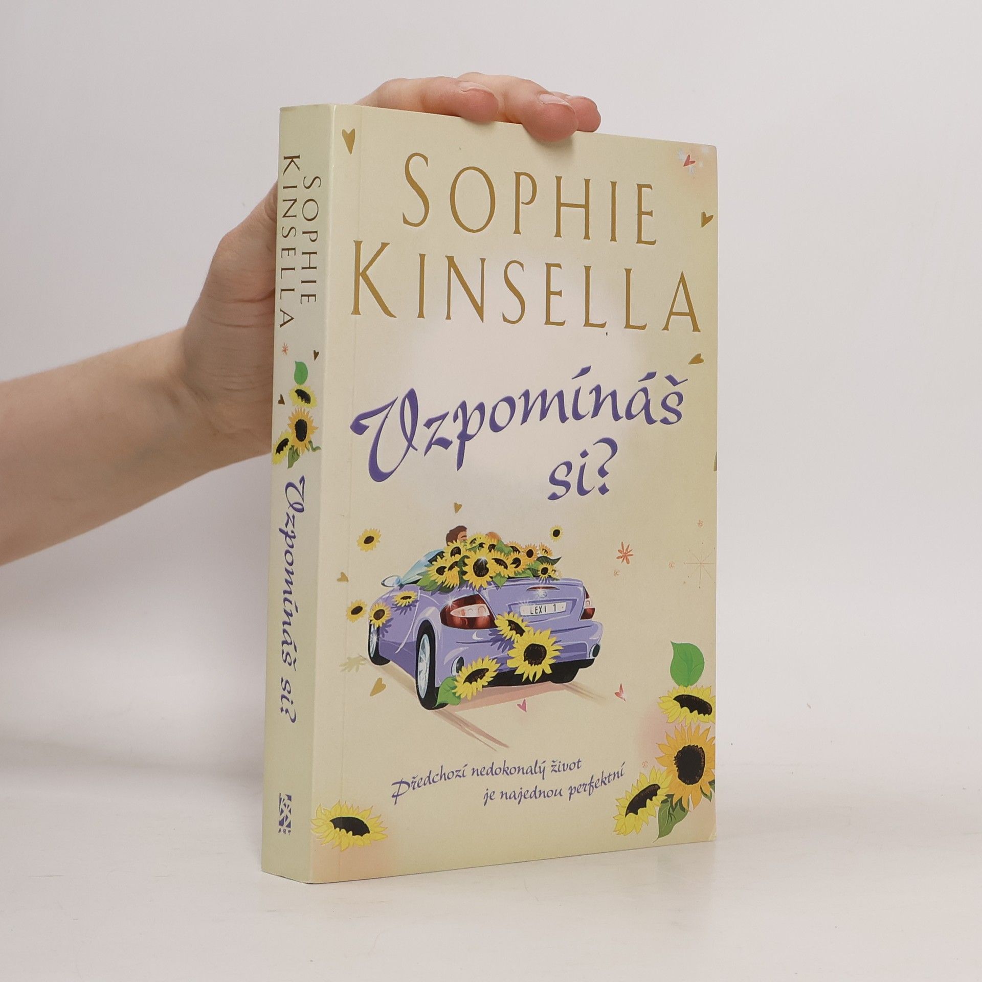 Sophie Kinsella Vzpomínáš si?