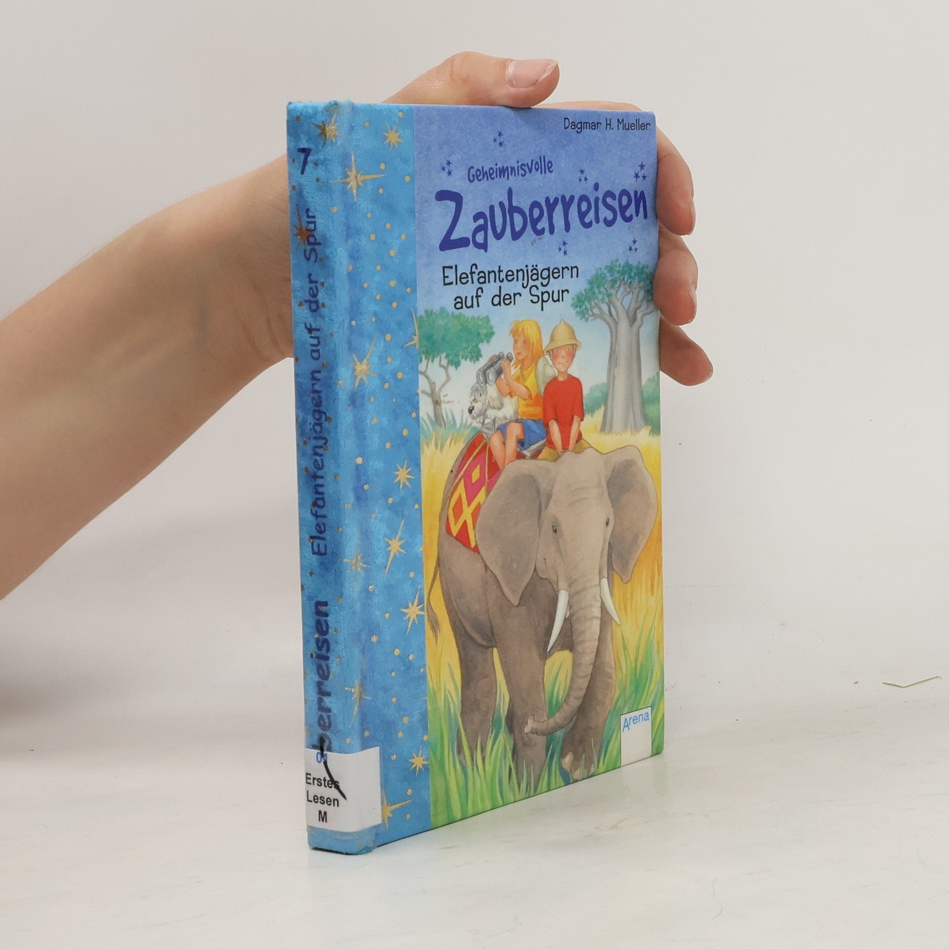 Dagmar H. Mueller Geheimnisvolle Zauberreisen