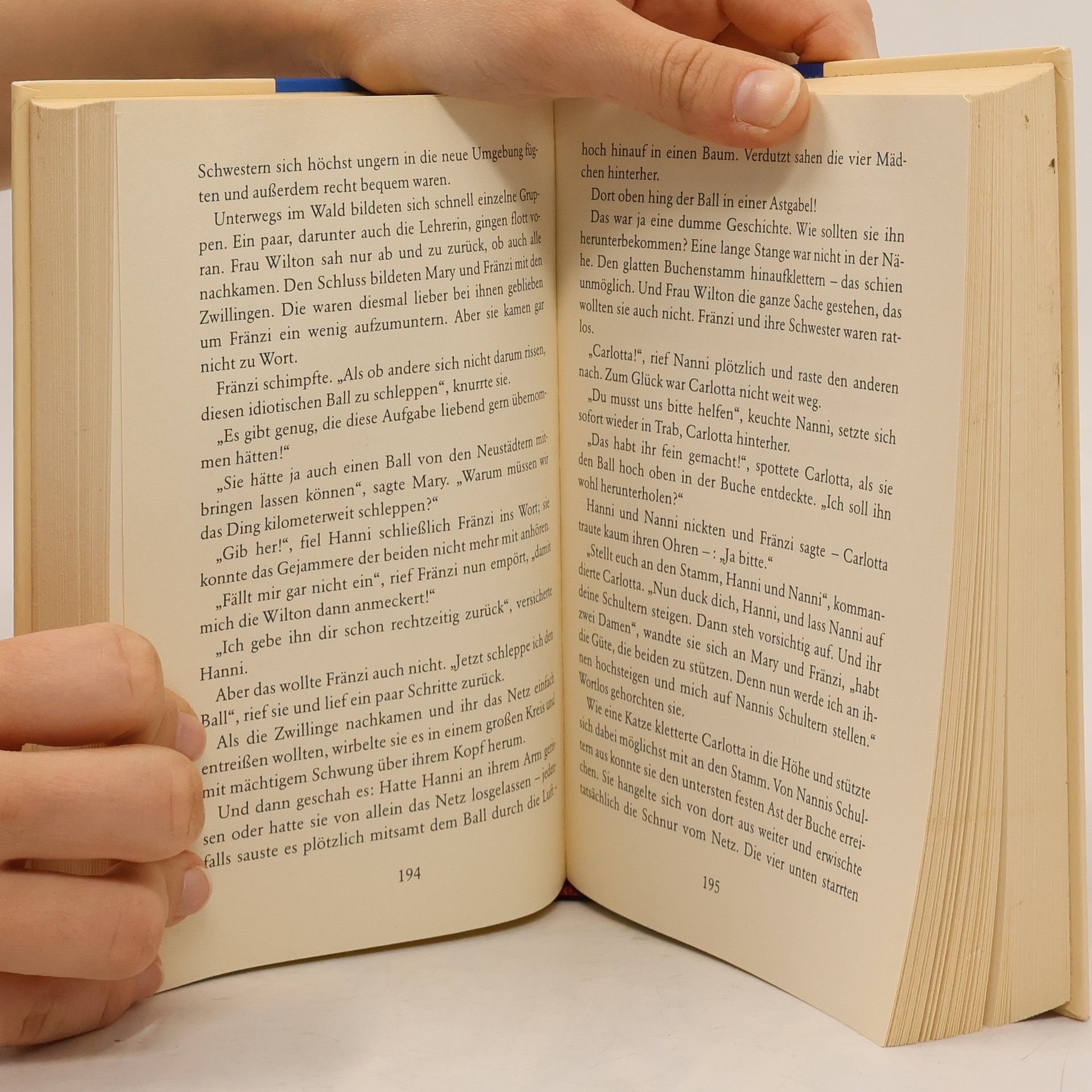 Enid Blyton Hanni und Nanni. Sammelband 2