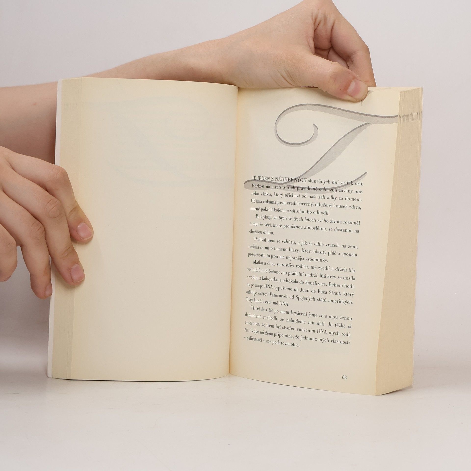 Various authors Být či nebýt otcem: O životě bez dětí