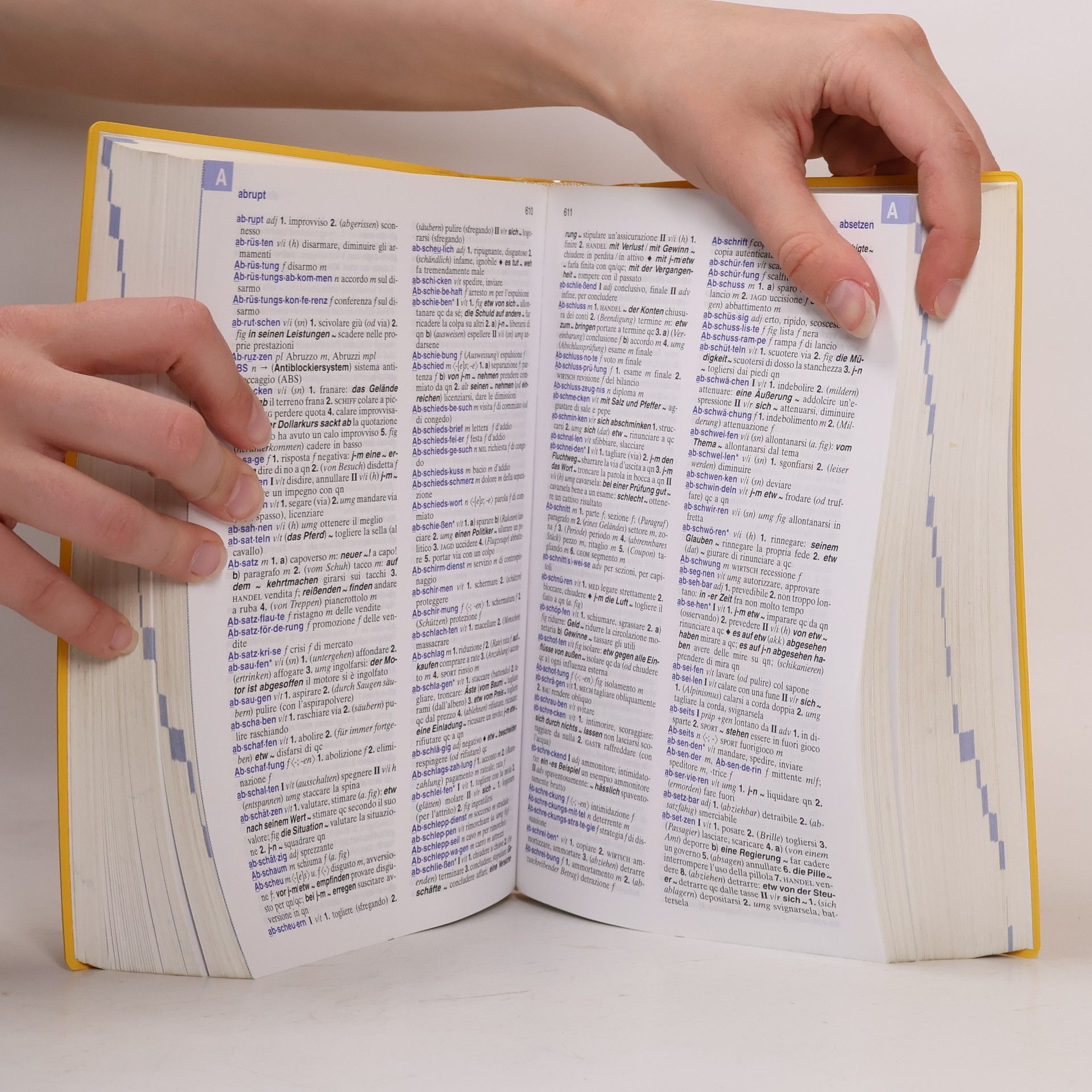 Annalisa Scarpa Diewald Langenscheidt, Großes Taschenwörterbuch Italienisch