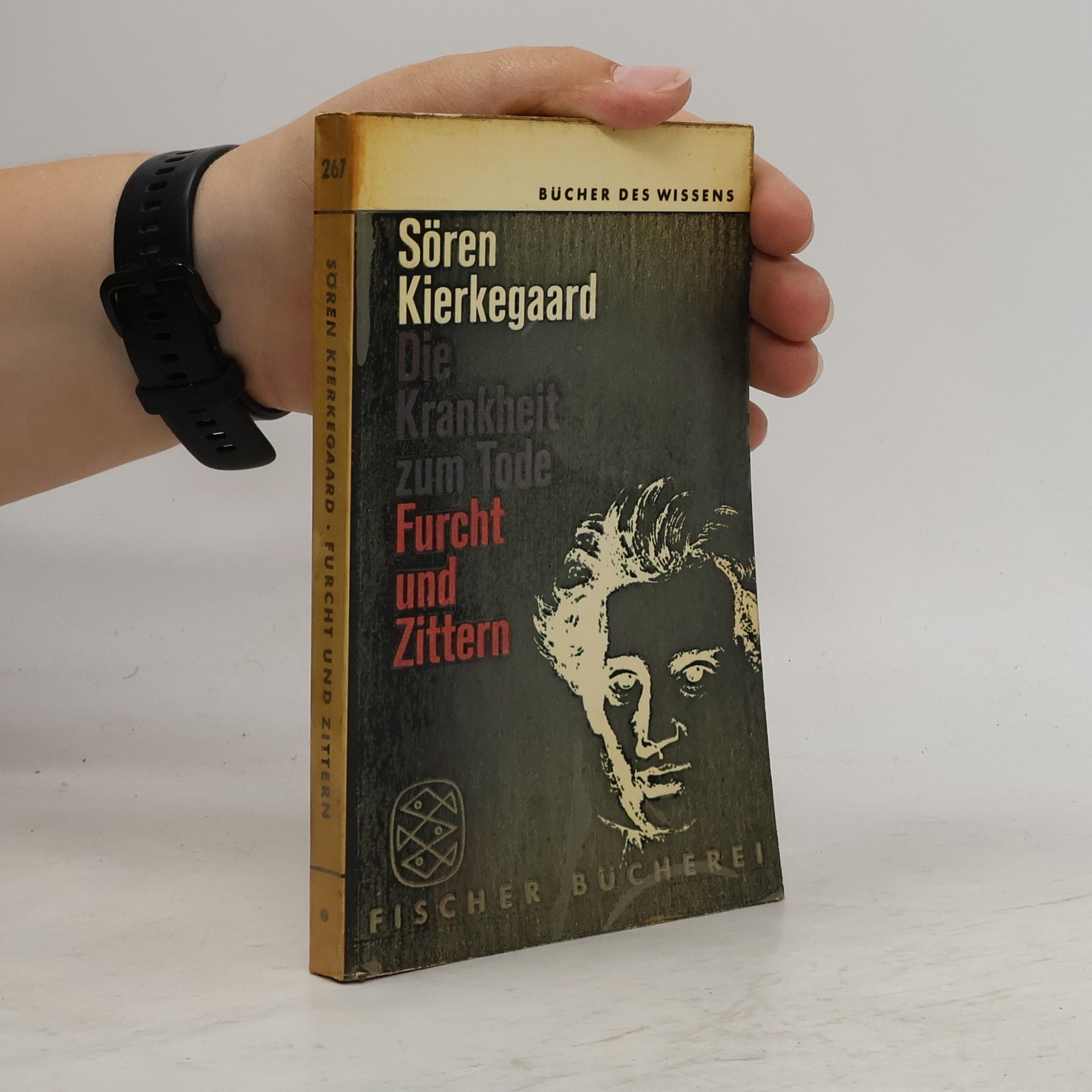 Die Krankheit zum Tode. Furcht und Zittern